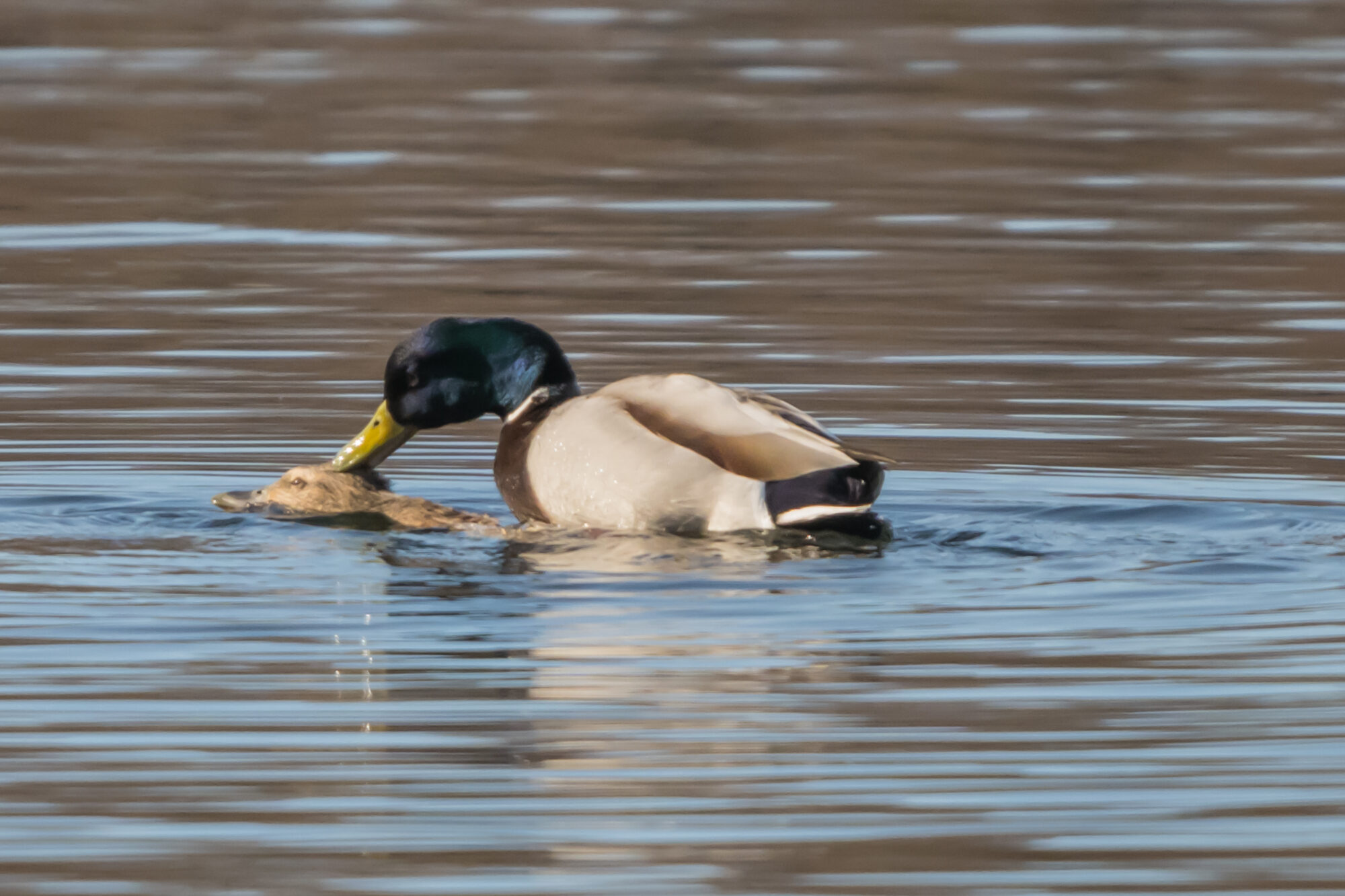 Valokuvaaja: Markku Saarinen