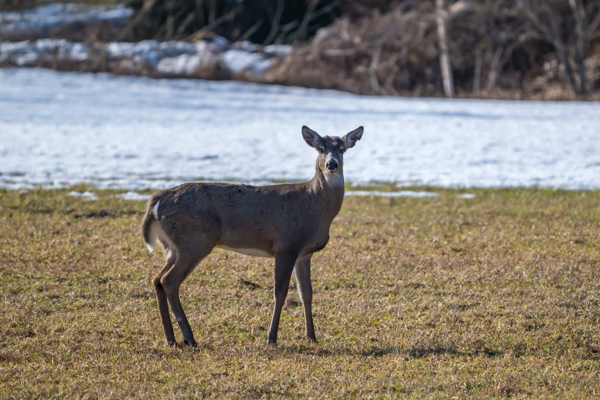 Valokuvaaja: Markku Saarinen