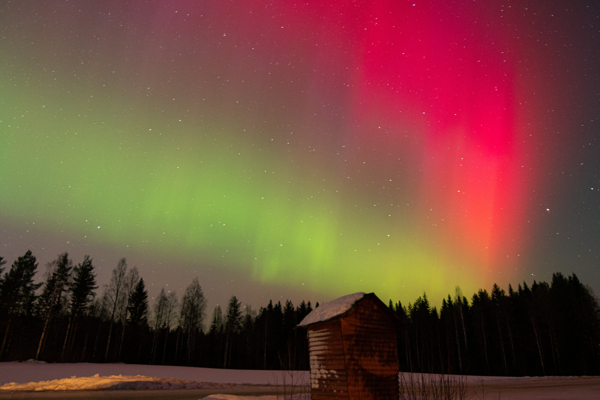 Valokuvaaja: Maija savolainen Valokuvaaja: Maija savolainen