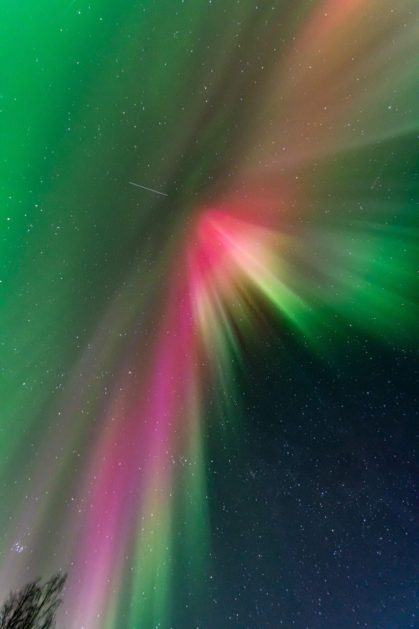 Valokuvaaja: Leena Rissanen Valokuvaaja: Leena Rissanen