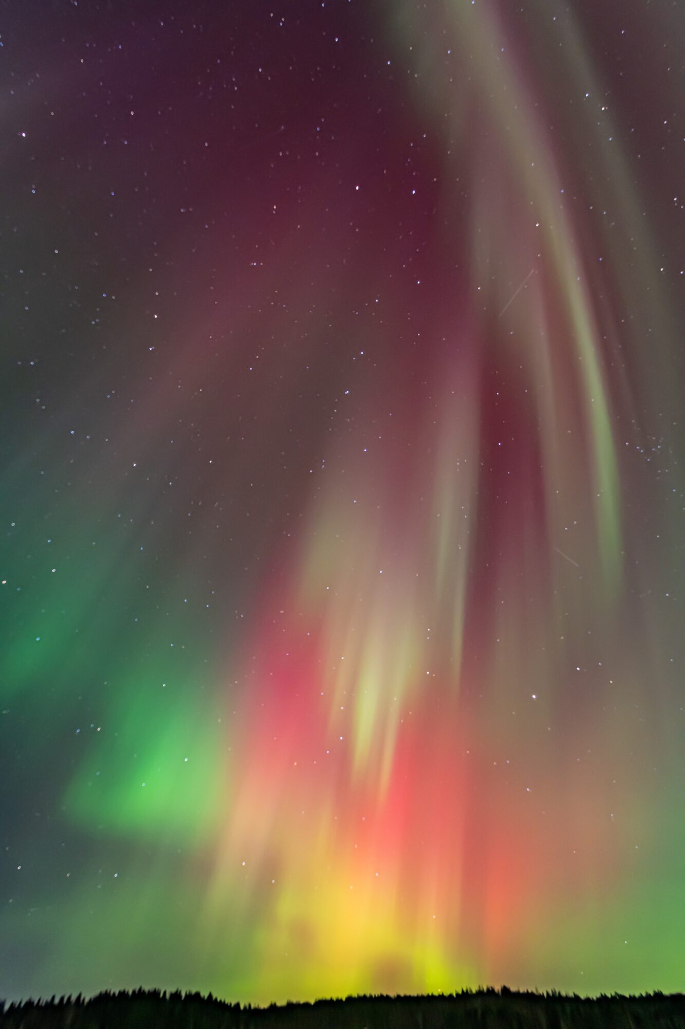 Valokuvaaja: Leena Rissanen Valokuvaaja: Leena Rissanen