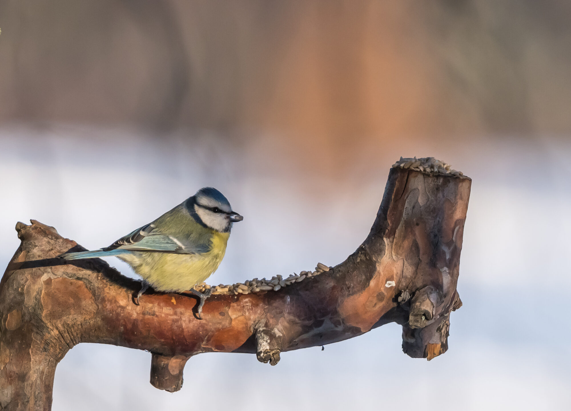 Valokuvaaja: Markku Saarinen