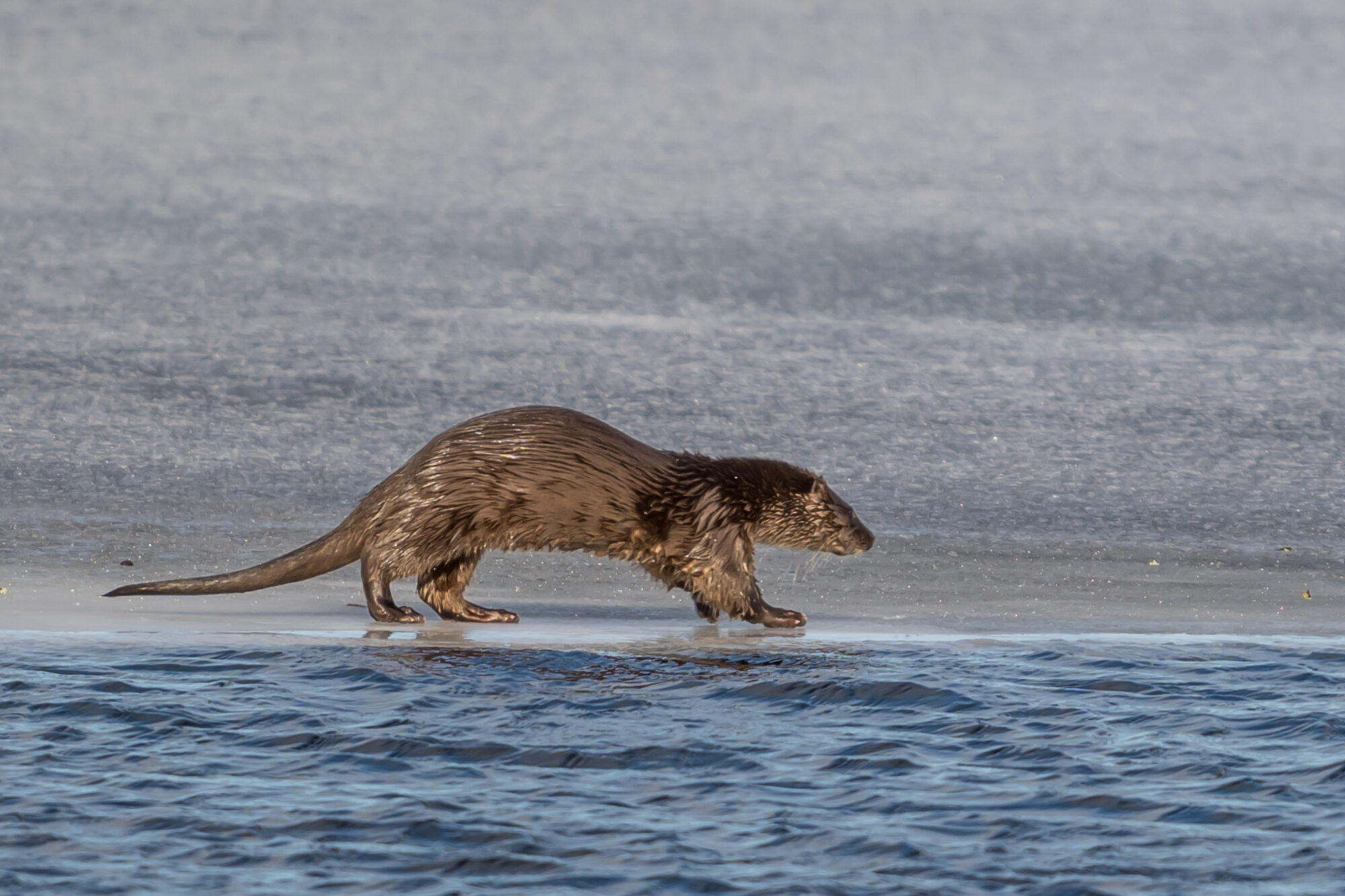 Valokuvaaja: Markku Saarinen
