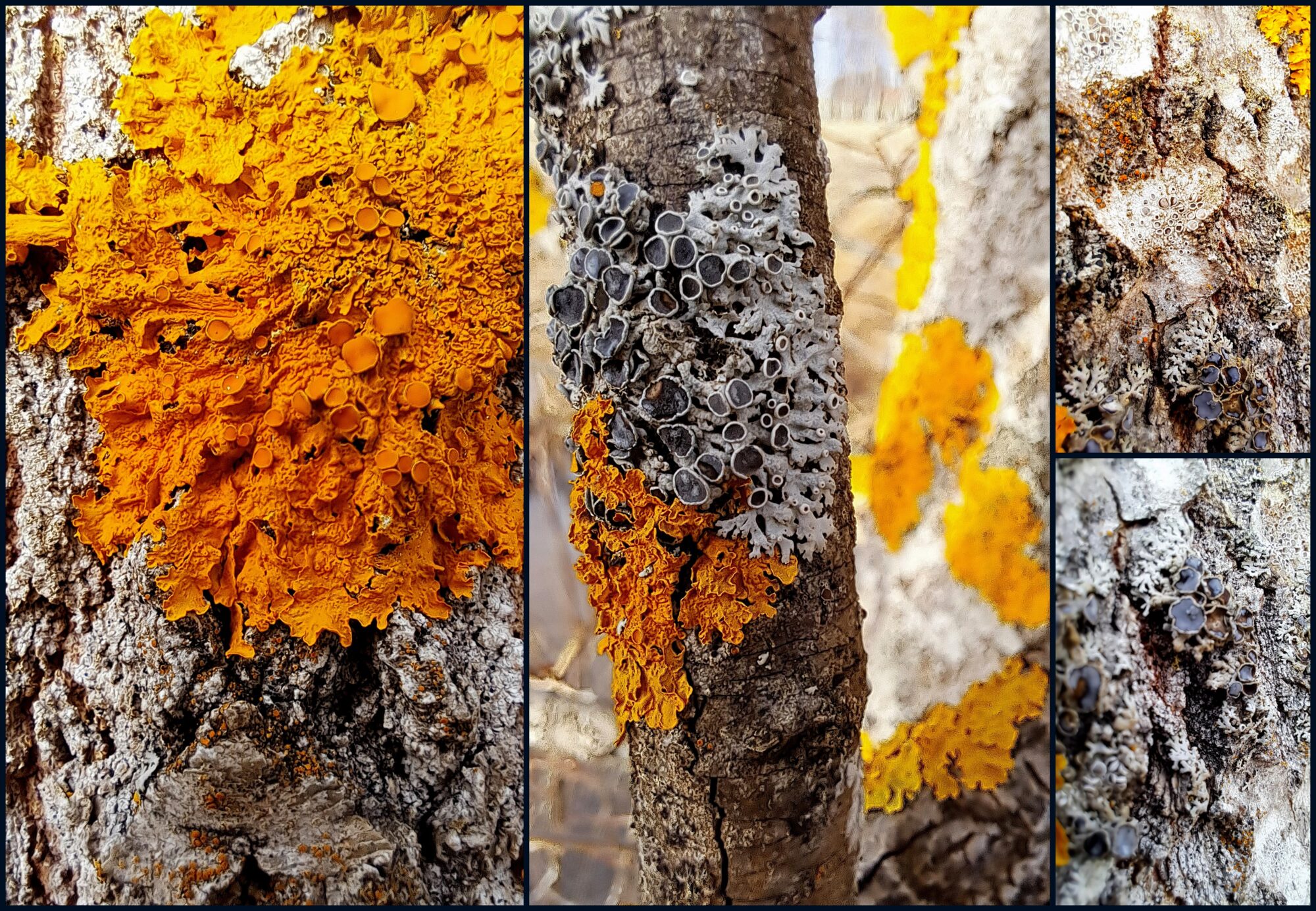 Valokuvaaja: Irja Lehtinen