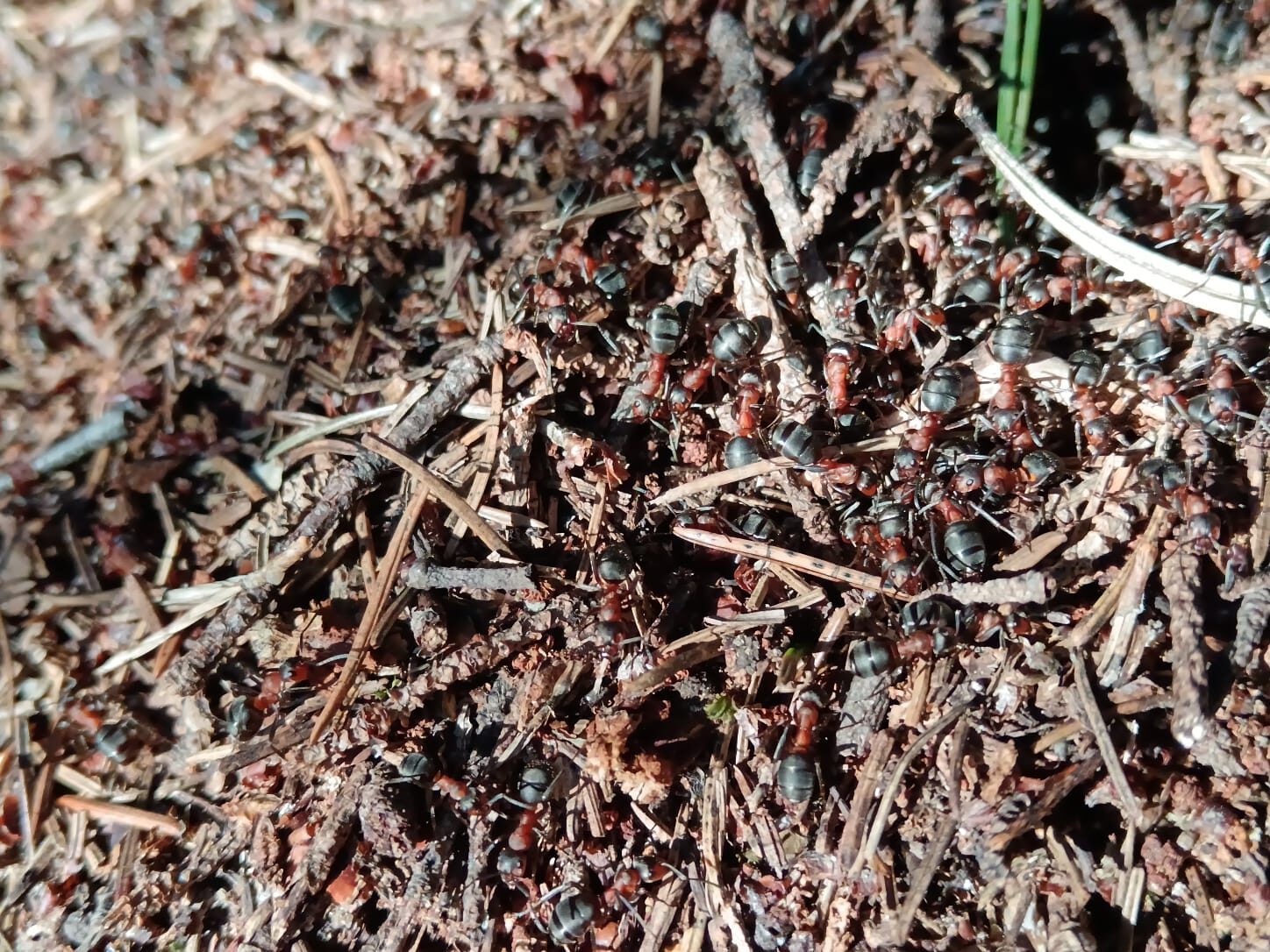 Valokuvaaja: Riitta Marjamäki Valokuvaaja: Riitta Marjamäki