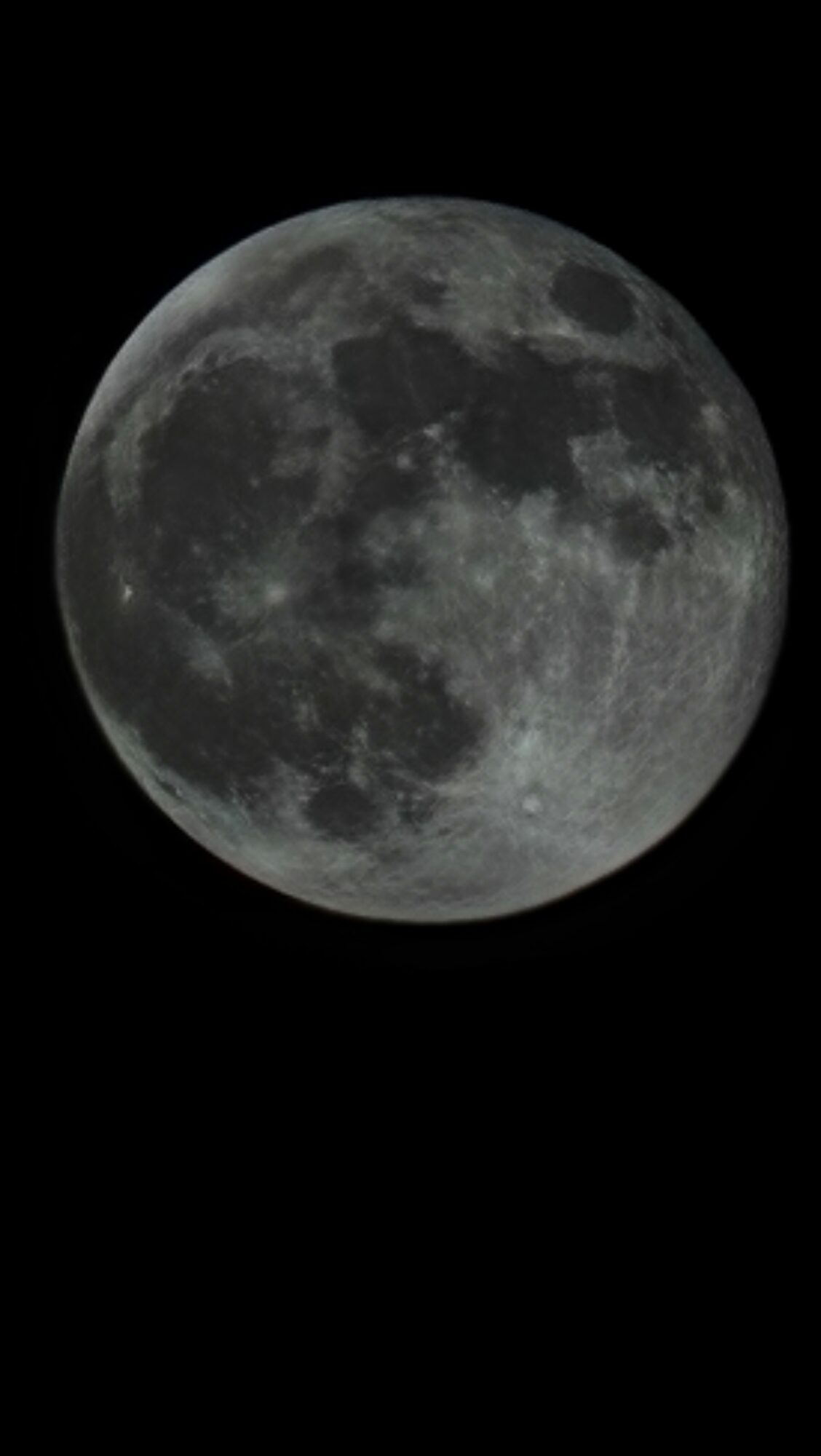 Valokuvaaja: Noora Nuotio Valokuvaaja: Noora Nuotio