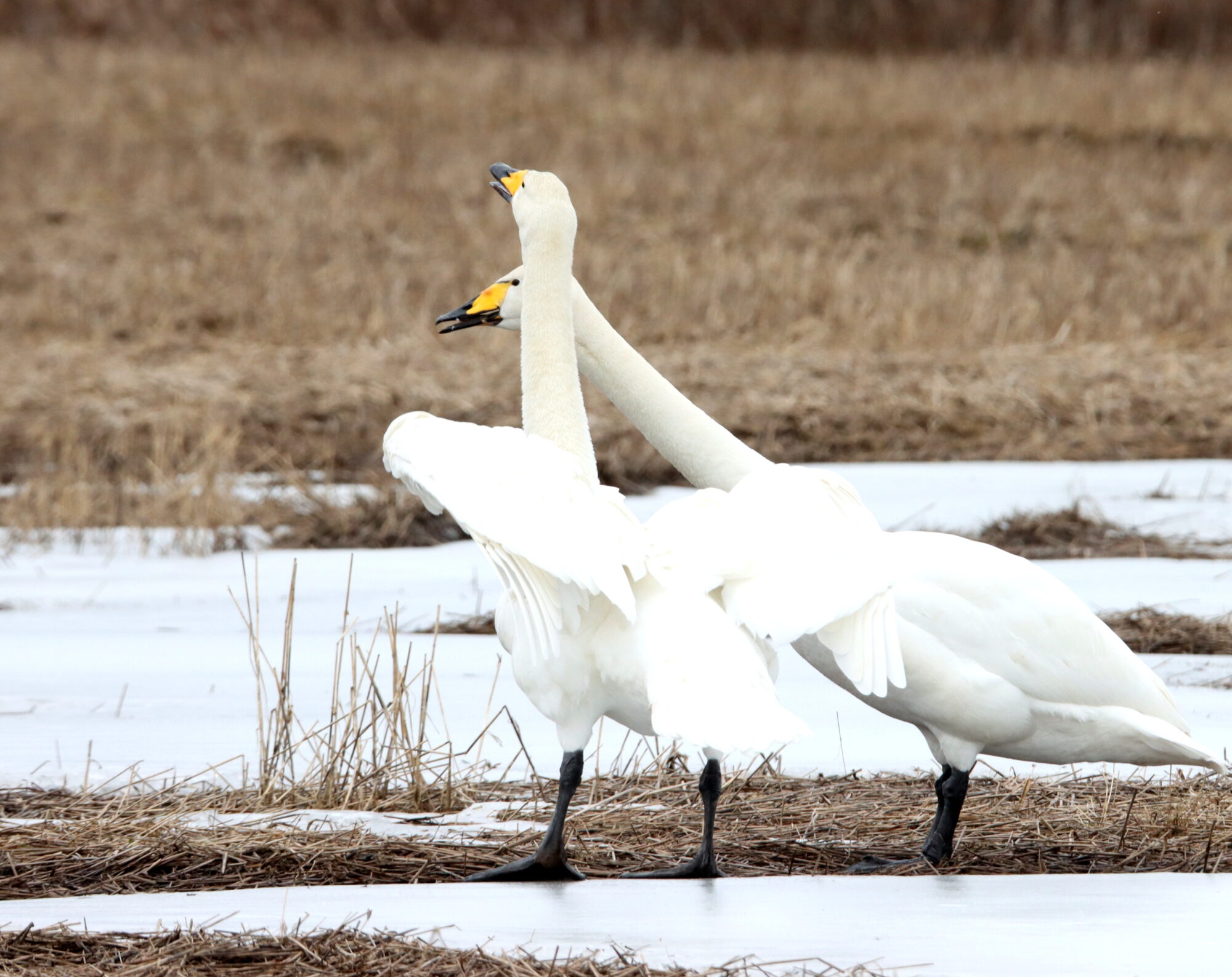 Valokuvaaja: Irja Lehtinen Valokuvaaja: Irja Lehtinen