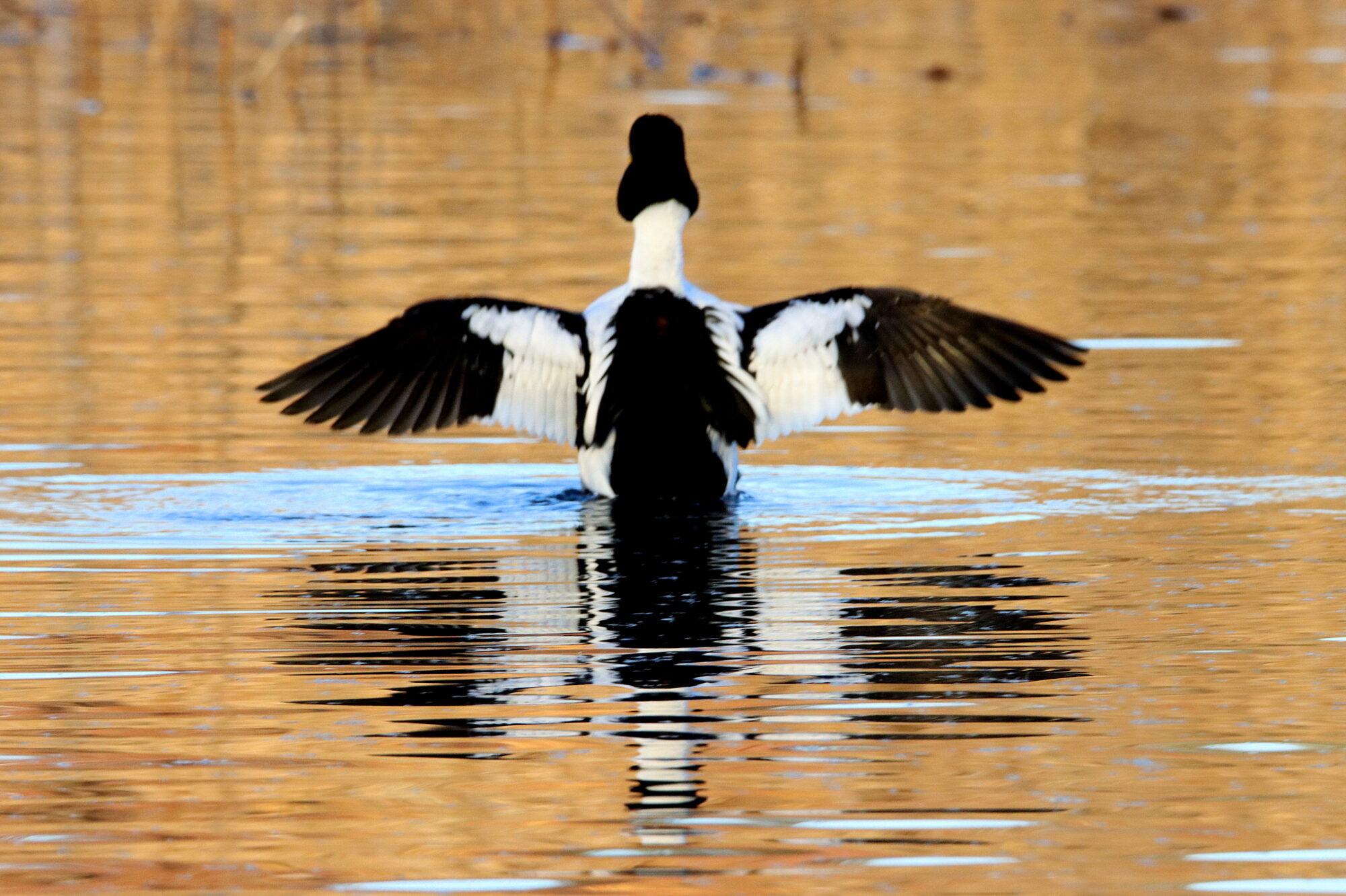 Valokuvaaja: Irja Lehtinen
