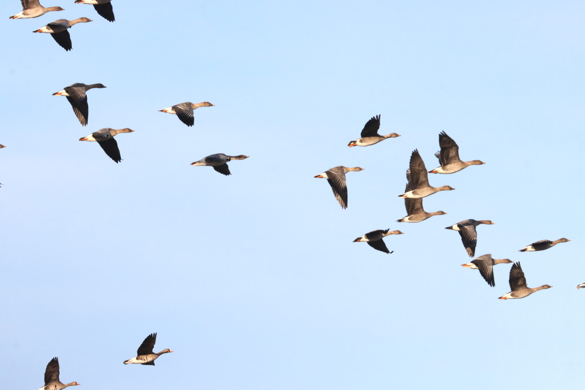 Valokuvaaja: Irja Lehtinen