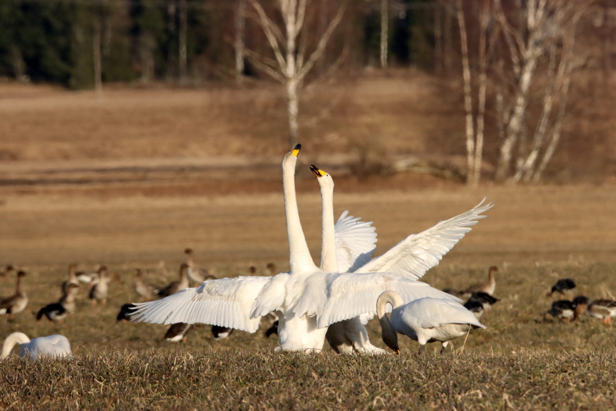 Valokuvaaja: Irja Lehtinen Valokuvaaja: Irja Lehtinen