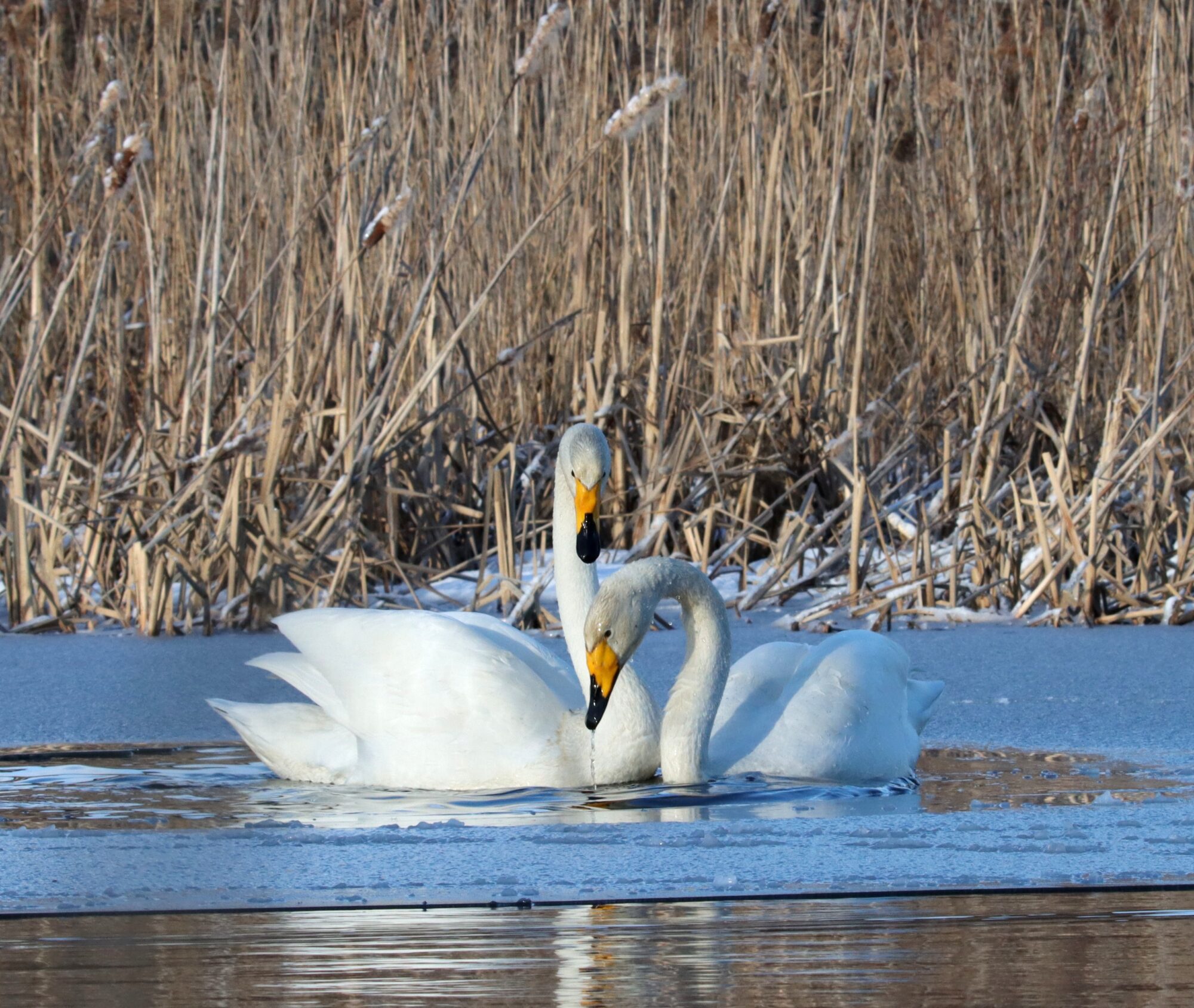 Valokuvaaja: Irja Lehtinen Valokuvaaja: Irja Lehtinen
