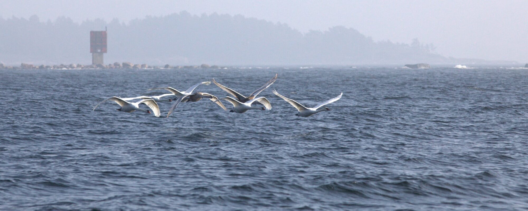 Valokuvaaja: Tapio Keinonen