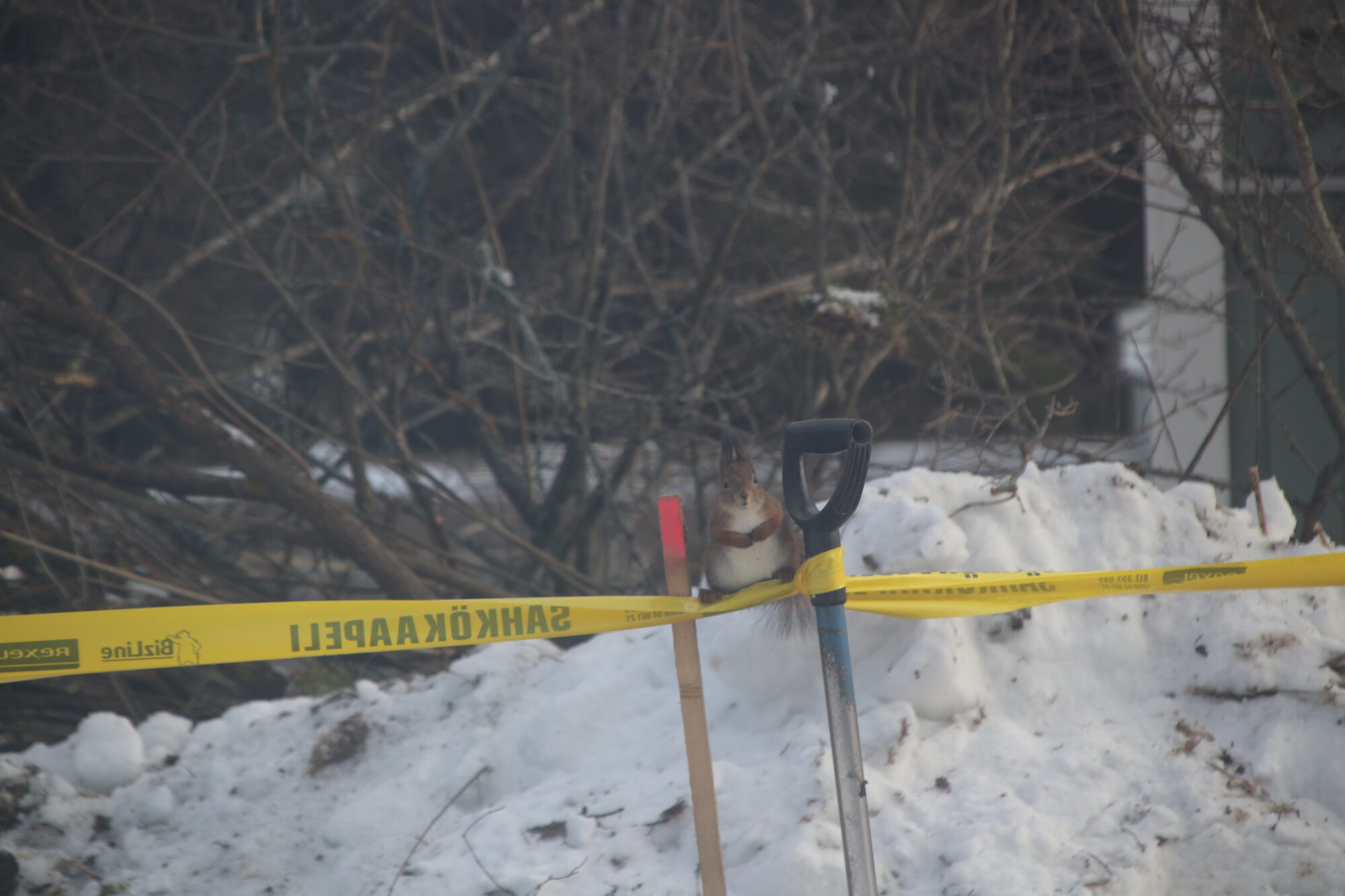 Valokuvaaja: Helena Sytelä Valokuvaaja: Helena Sytelä