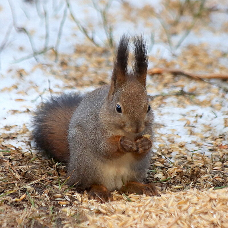 Valokuvaaja: Hannu Rasiranta