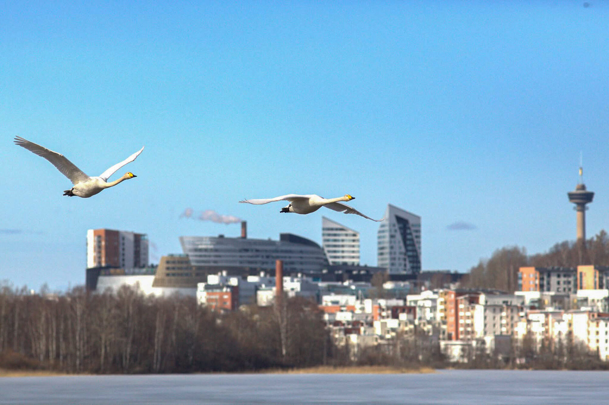 Valokuvaaja: Tapio Keinonen Valokuvaaja: Tapio Keinonen