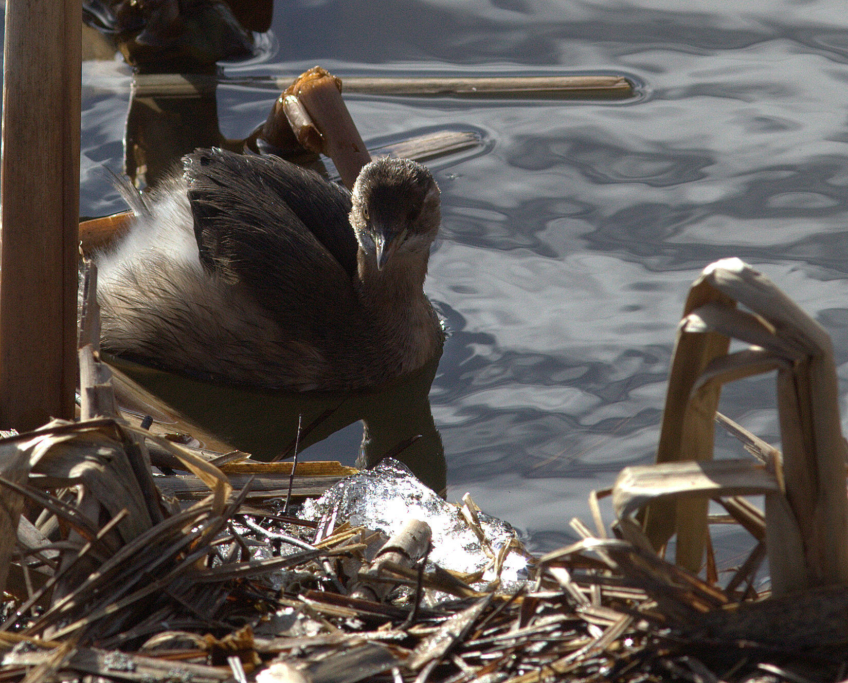 Valokuvaaja: tapio keinonen