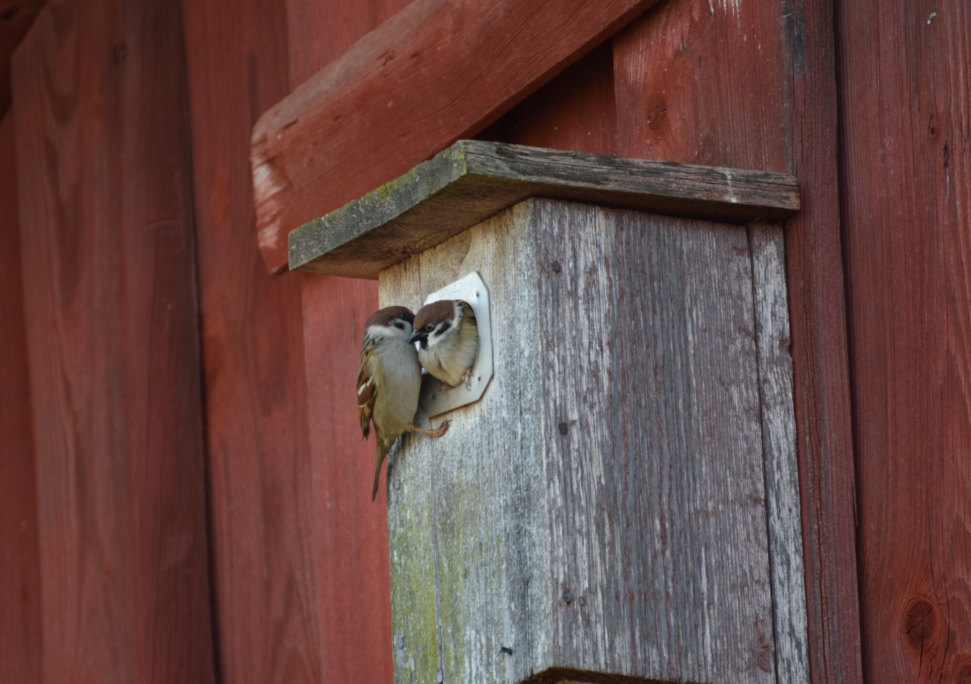 Valokuvaaja: Riitta Marjamäki Valokuvaaja: Riitta Marjamäki