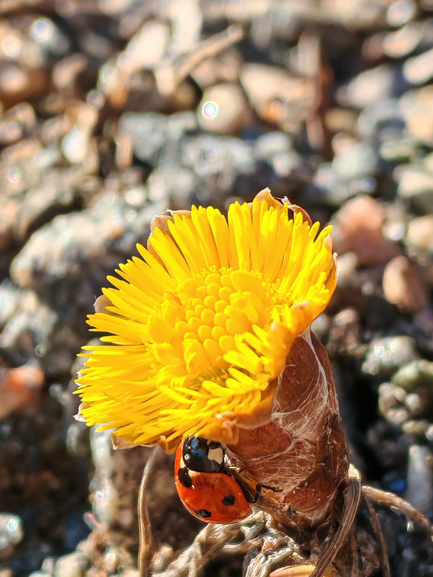 Valokuvaaja: Riitta Marjamäki Valokuvaaja: Riitta Marjamäki