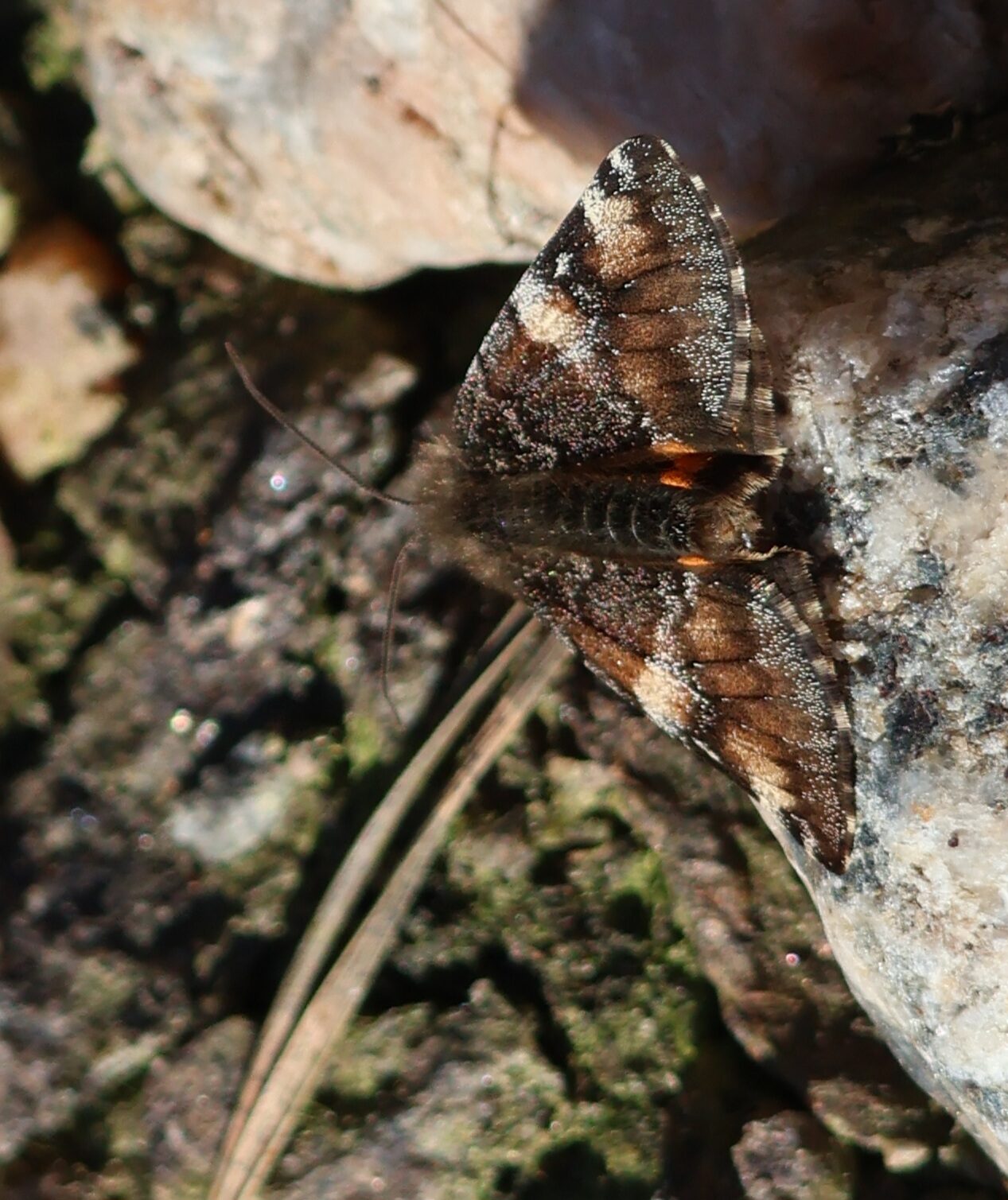 Valokuvaaja: Hanna Rönty Valokuvaaja: Hanna Rönty