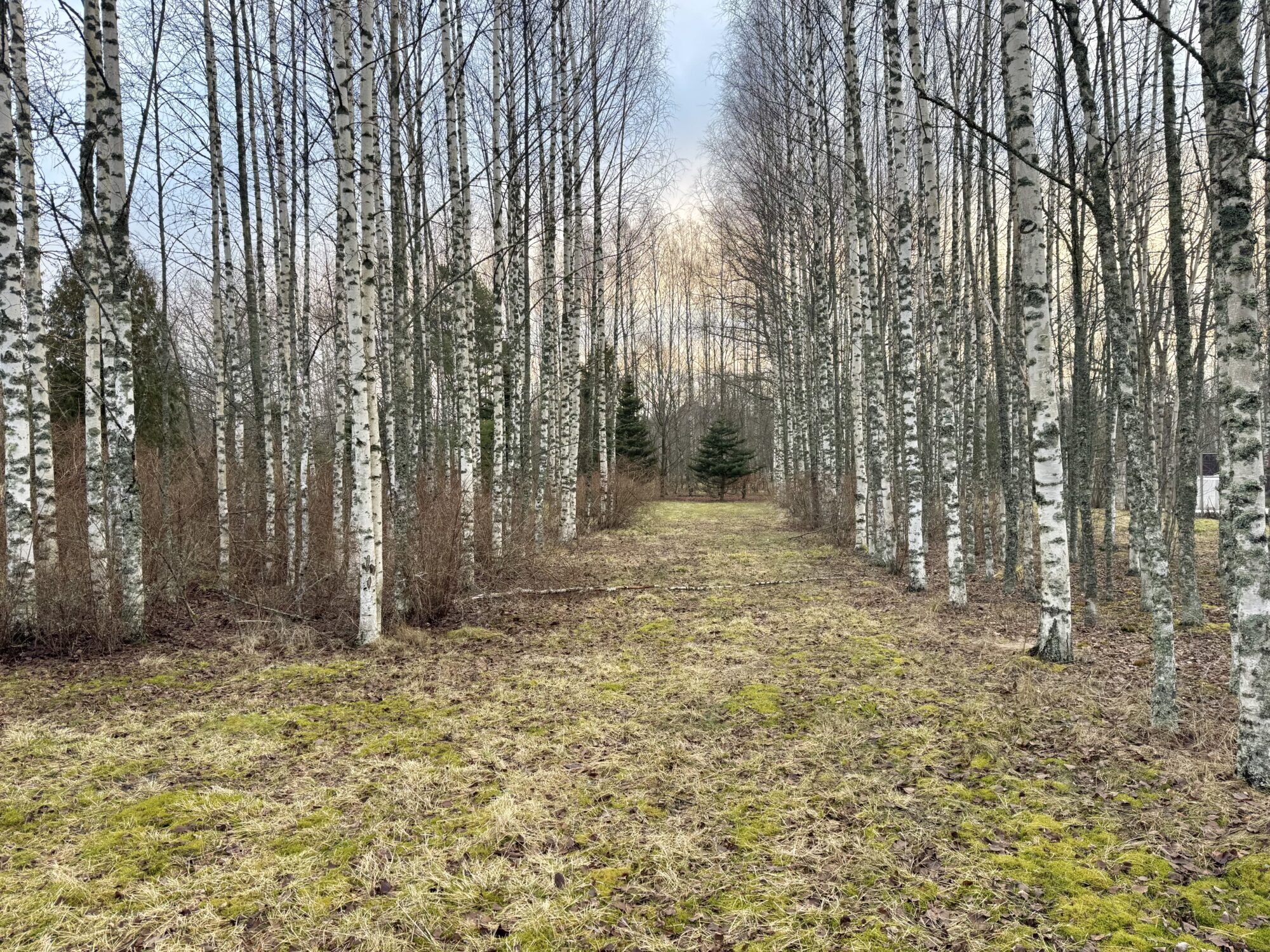 Valokuvaaja: Juhani Peltonen