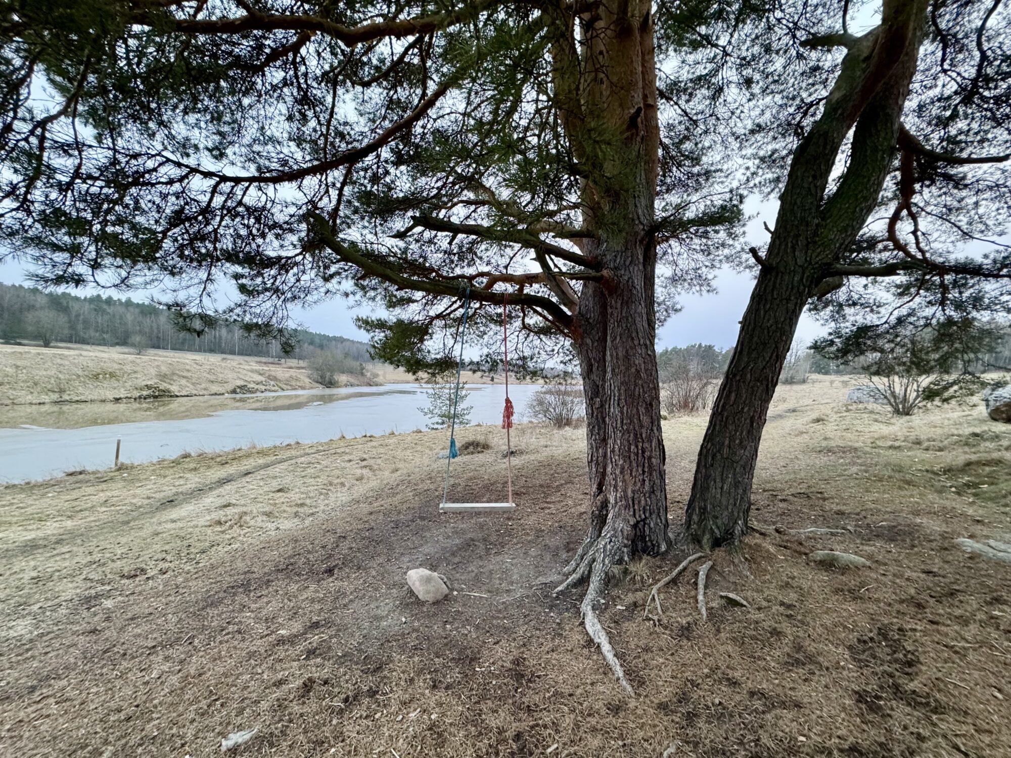 Valokuvaaja: Juhani Peltonen