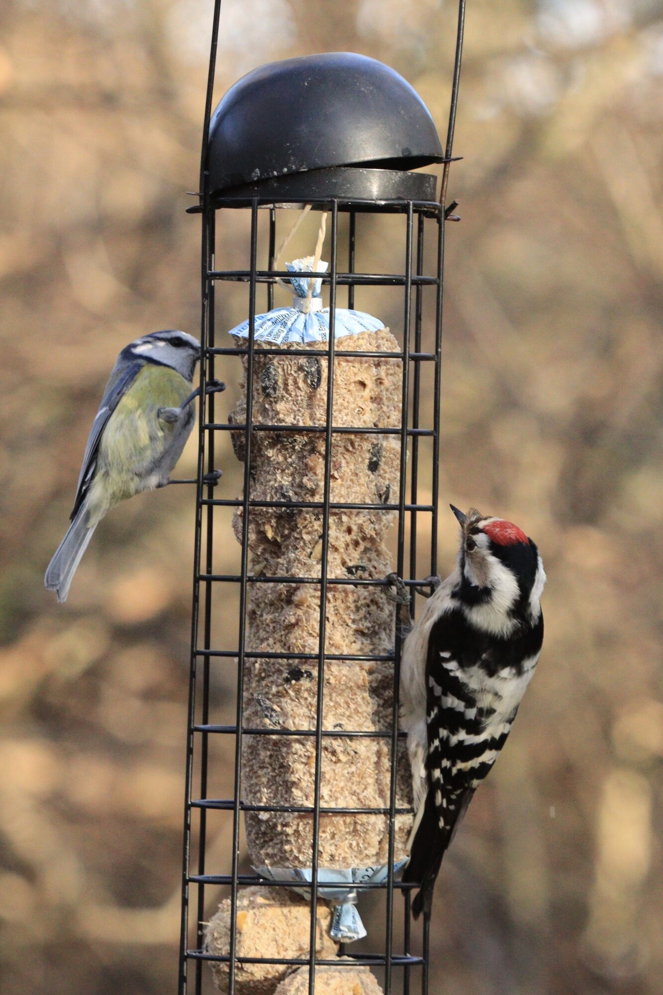 Valokuvaaja: Outi Johansson Valokuvaaja: Outi Johansson