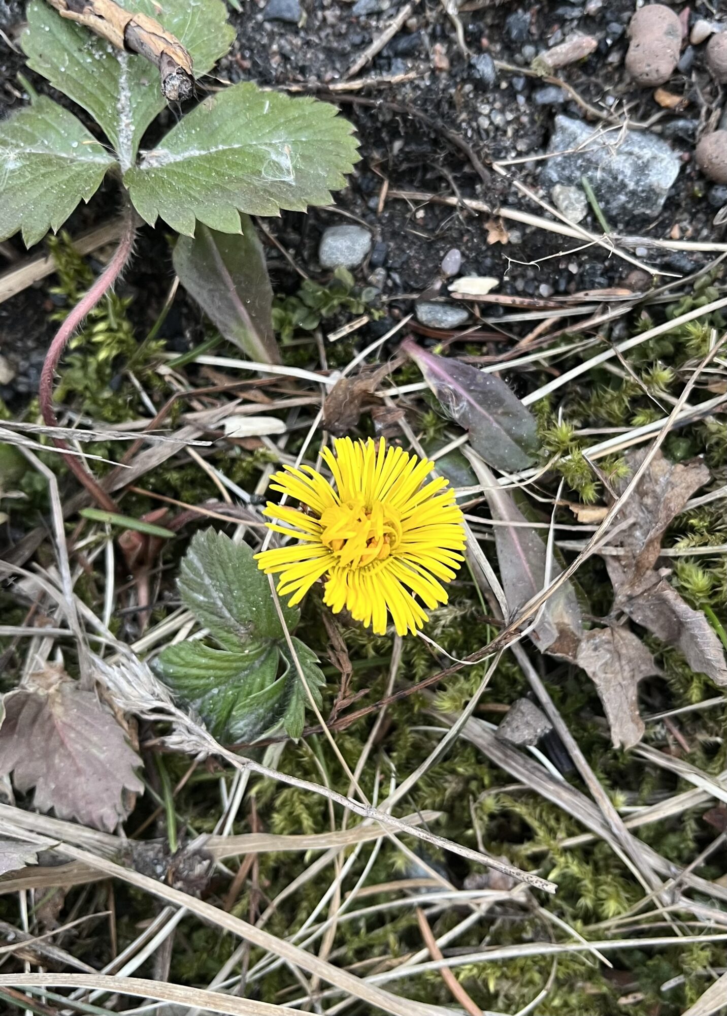 Valokuvaaja: Paula Kuismin