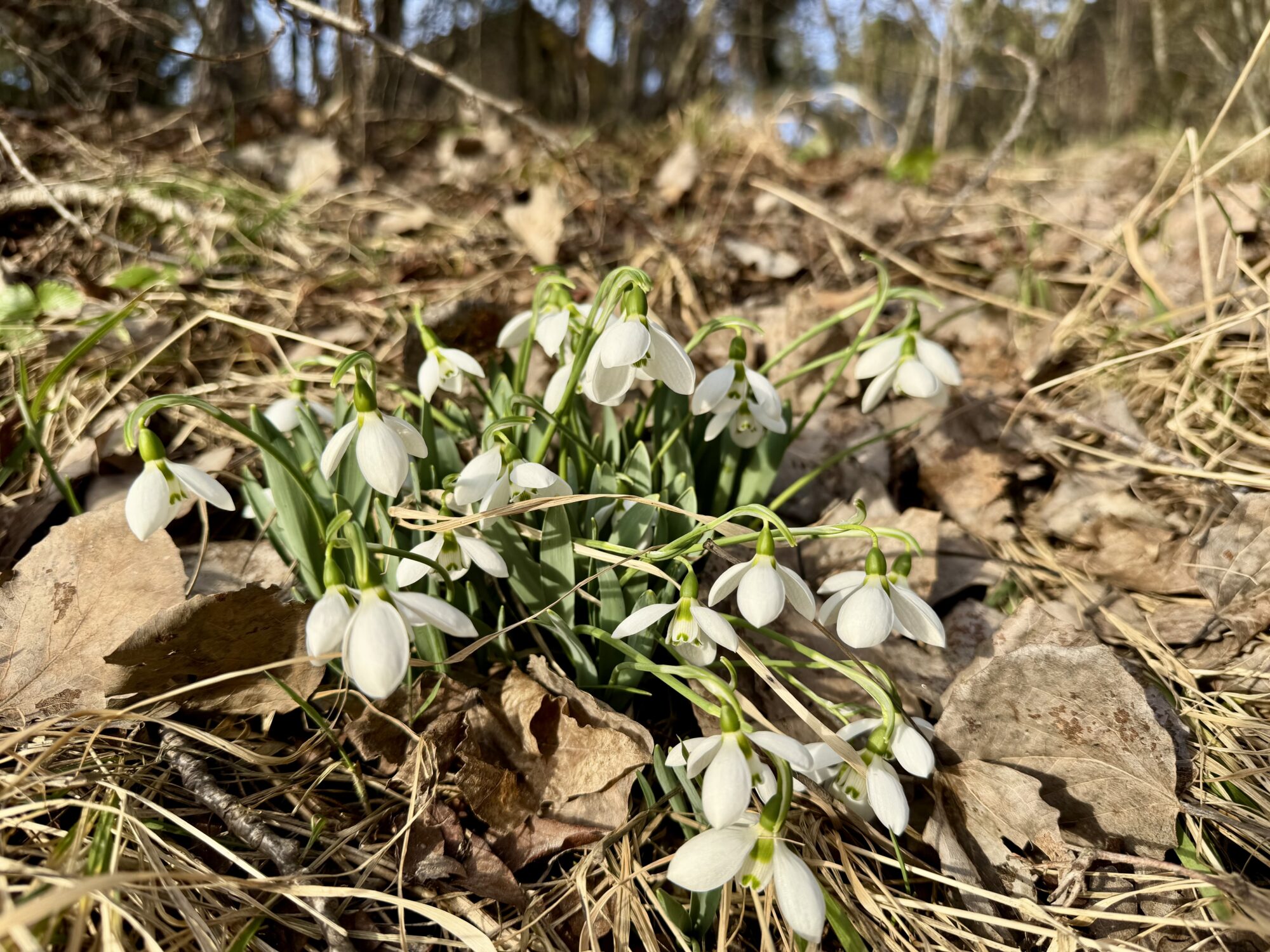 Valokuvaaja: Juhani Peltonen