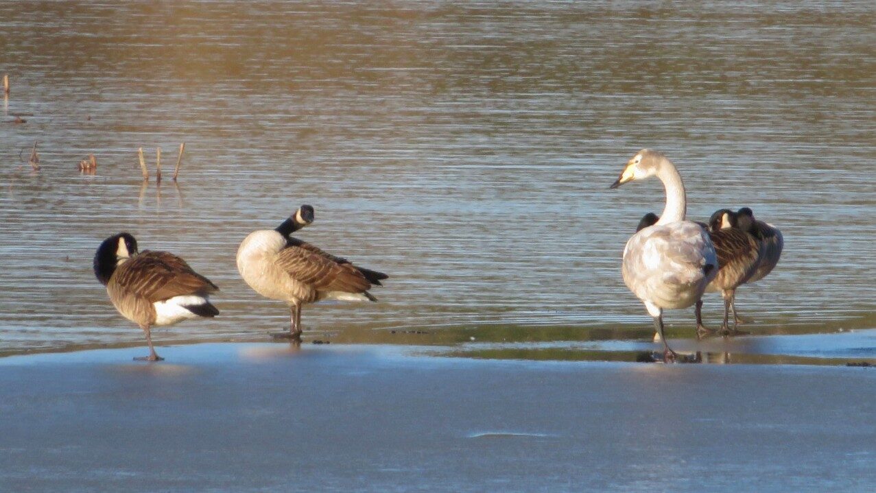 Valokuvaaja: Risto Kangassalo Valokuvaaja: Risto Kangassalo