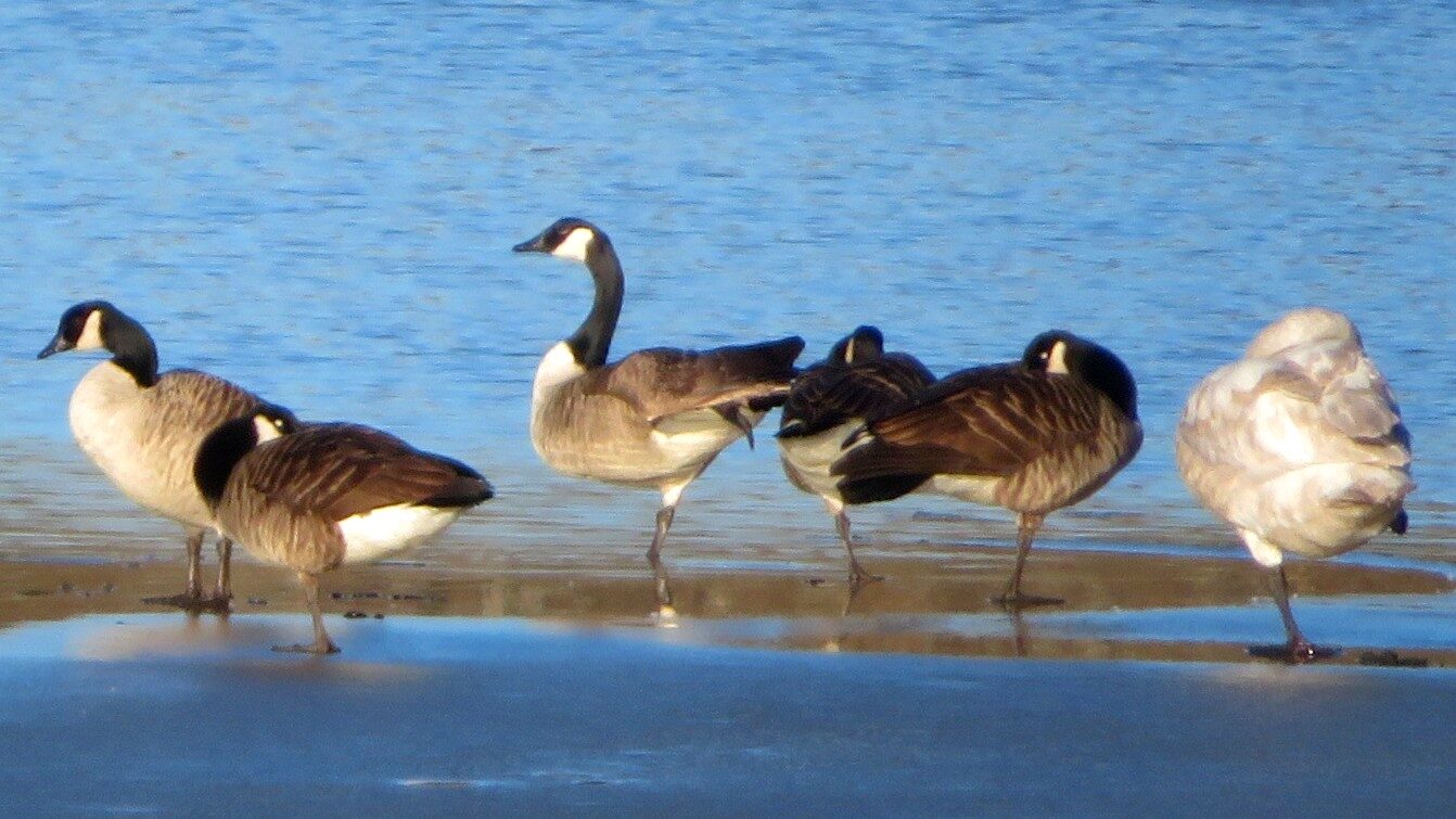 Valokuvaaja: Risto Kangassalo Valokuvaaja: Risto Kangassalo