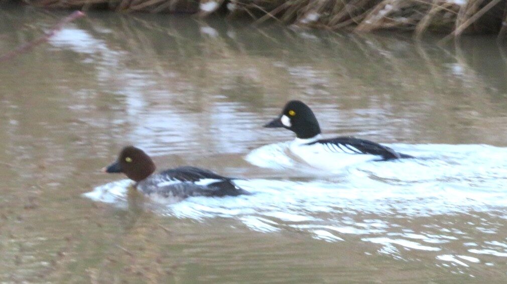 Valokuvaaja: Risto Kangassalo Valokuvaaja: Risto Kangassalo