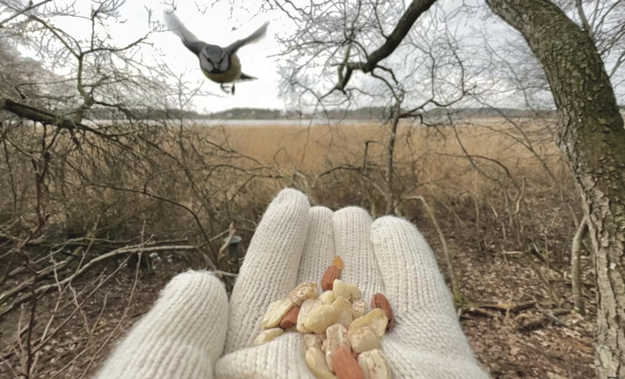 Valokuvaaja: Juhani Peltonen