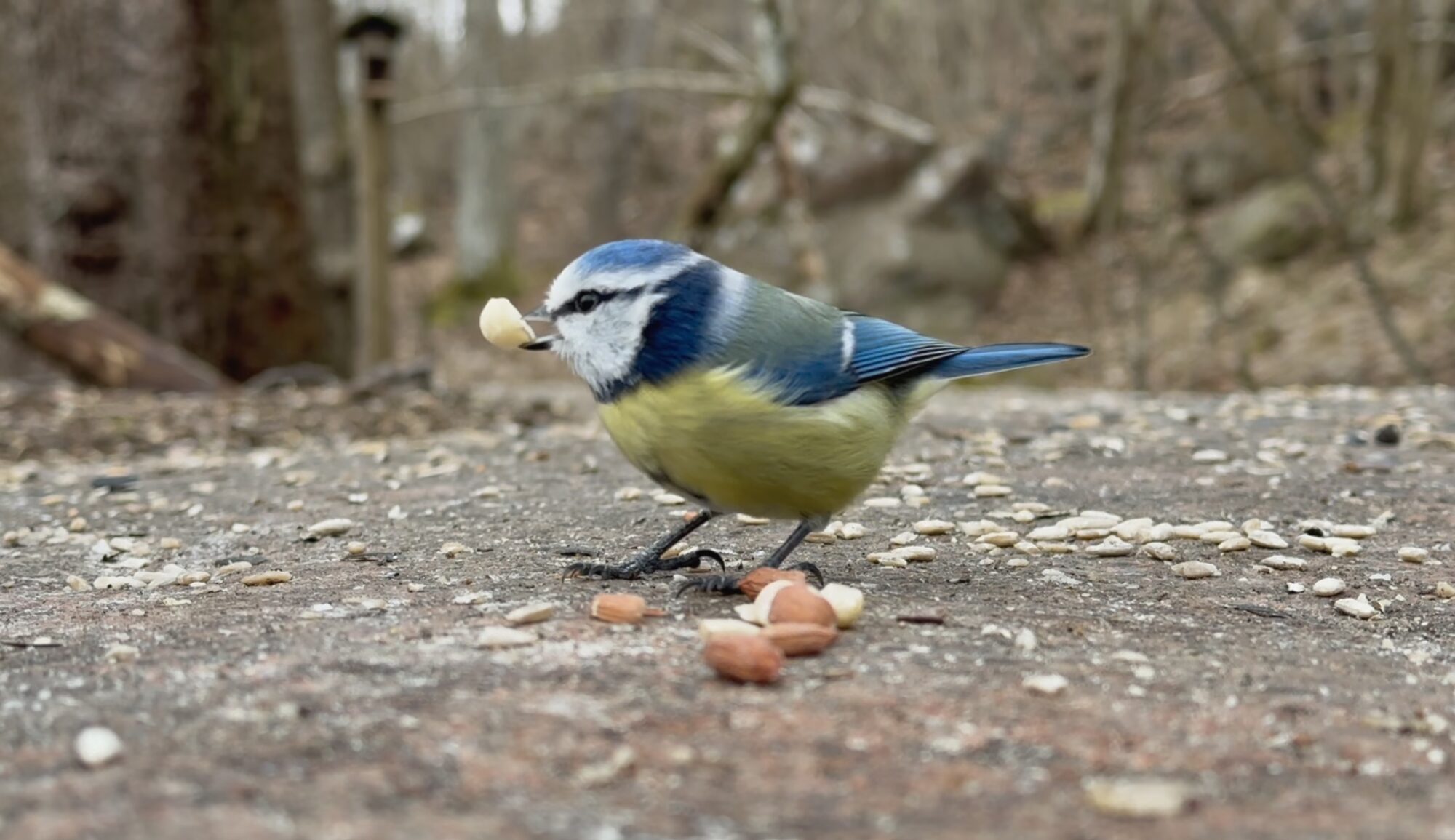 Valokuvaaja: Juhani Peltonen