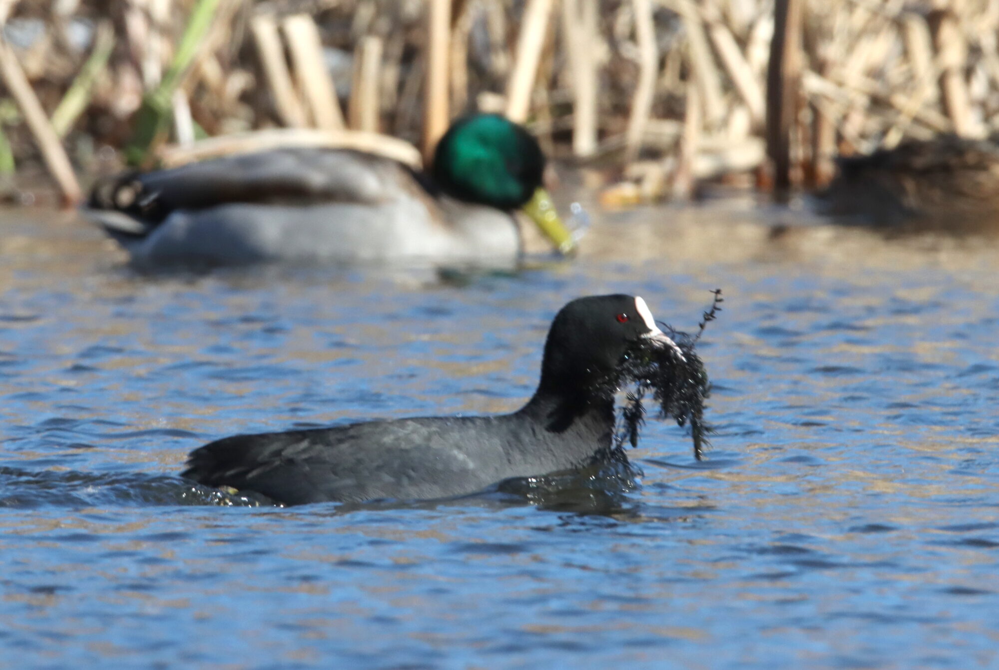 Valokuvaaja: Irja Lehtinen Valokuvaaja: Irja Lehtinen