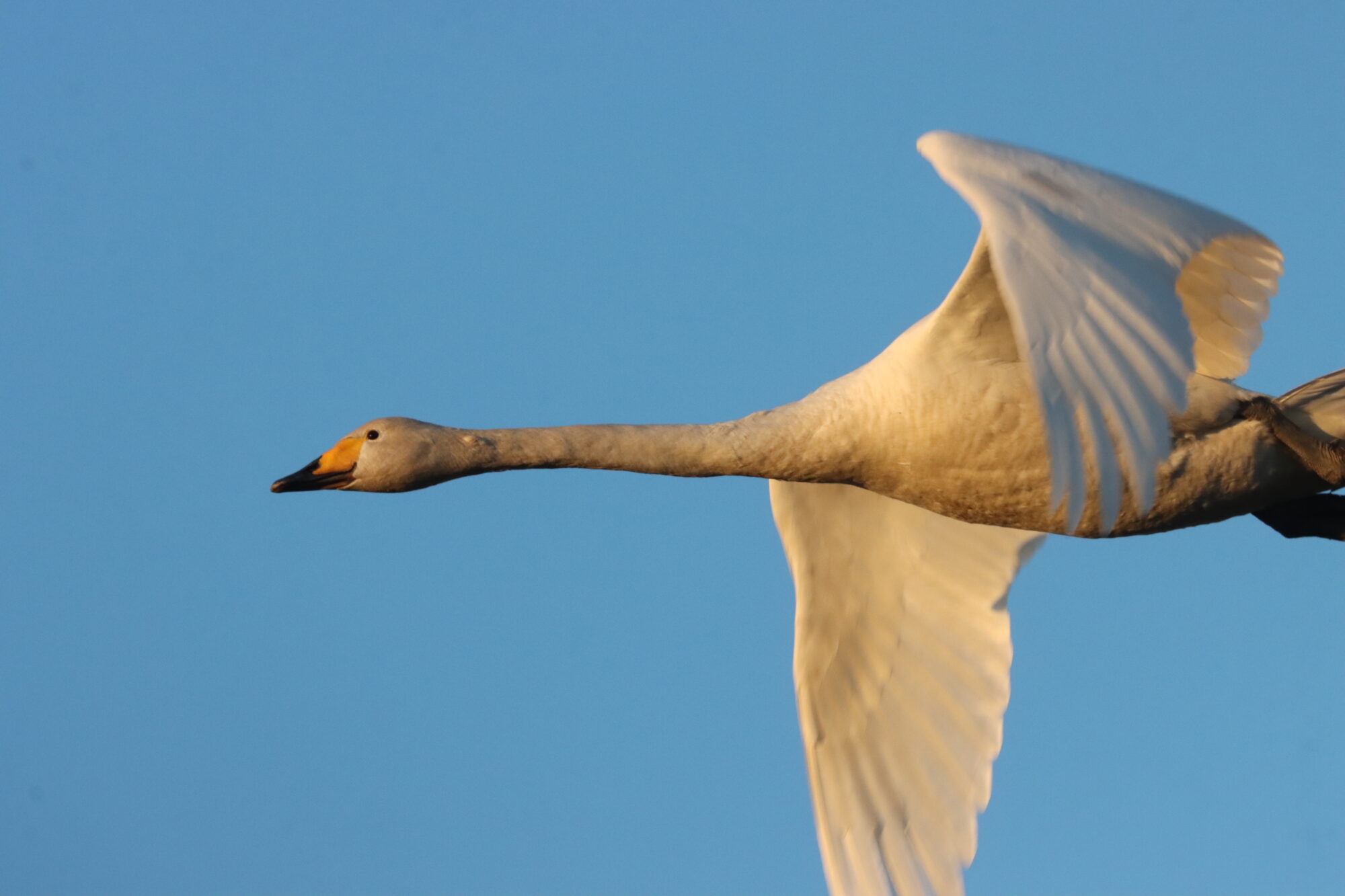 Valokuvaaja: Irja Lehtinen