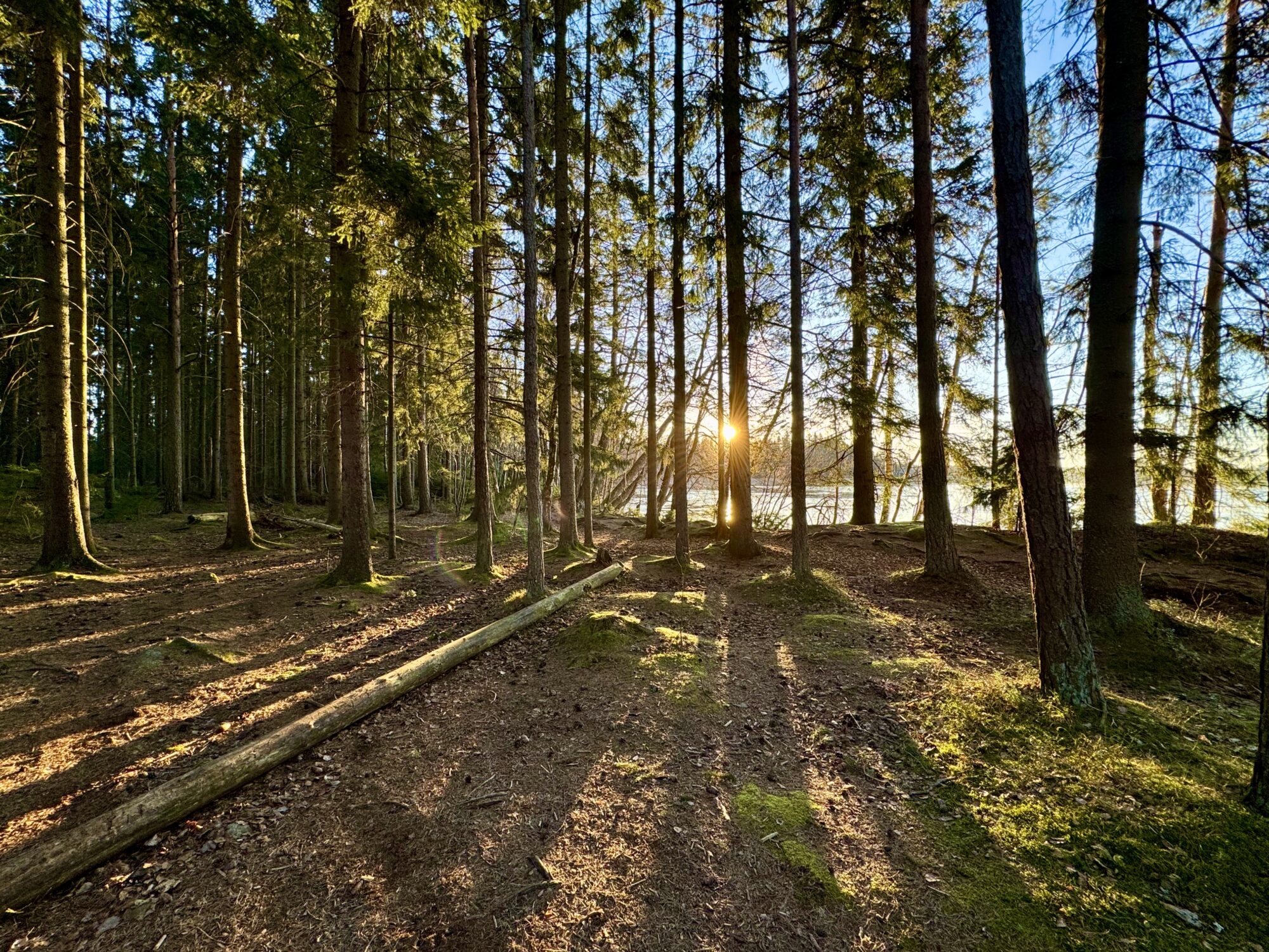 Valokuvaaja: Juhani Peltonen Valokuvaaja: Juhani Peltonen