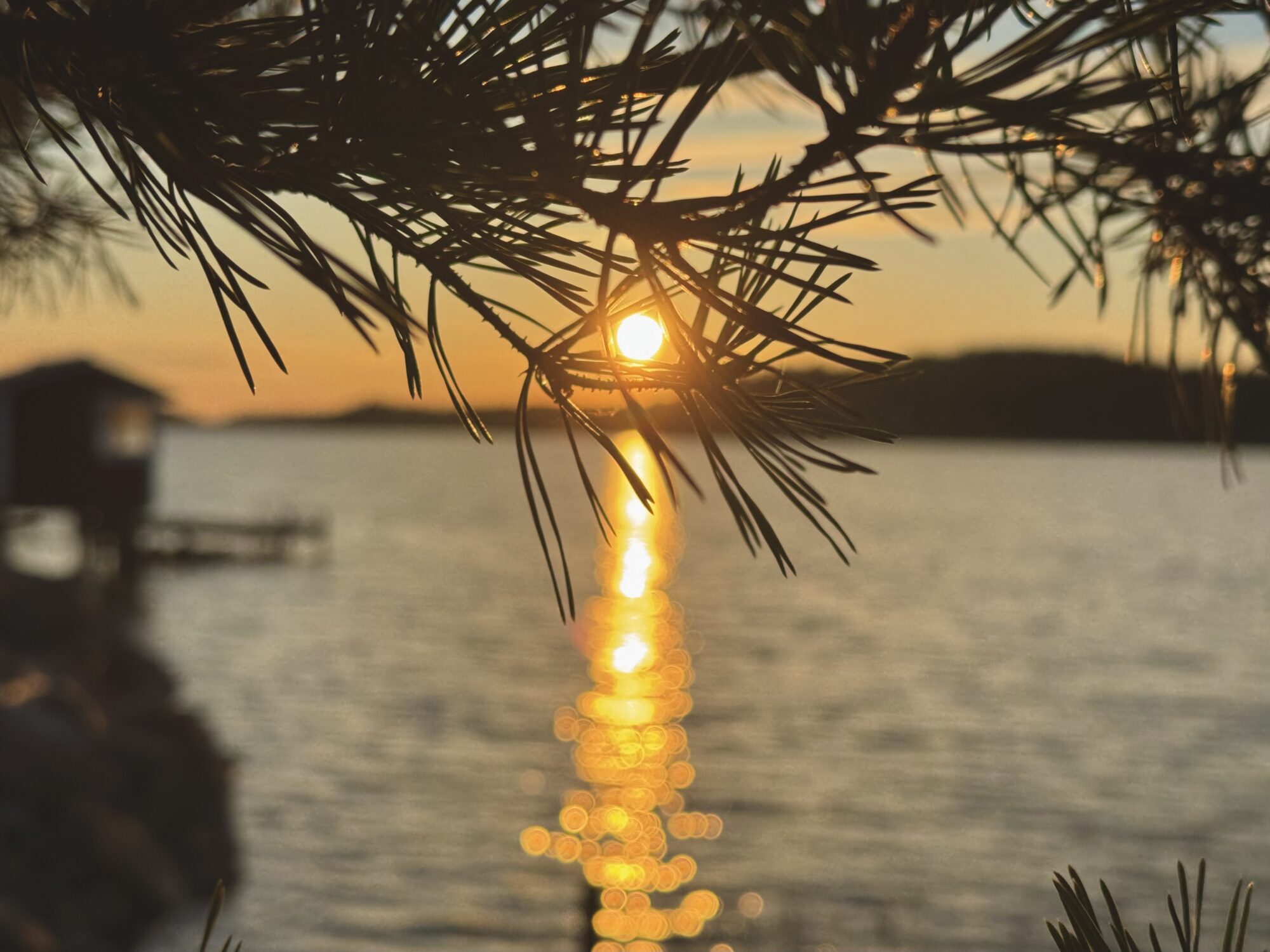 Valokuvaaja: Juhani Peltonen