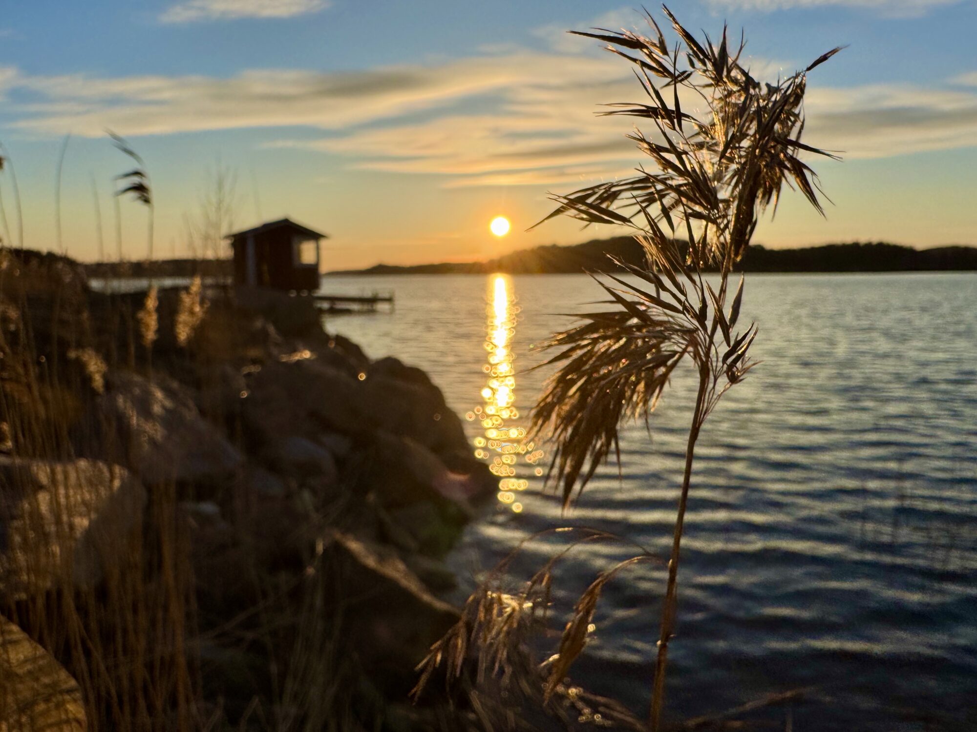 Valokuvaaja: Juhani Peltonen Valokuvaaja: Juhani Peltonen