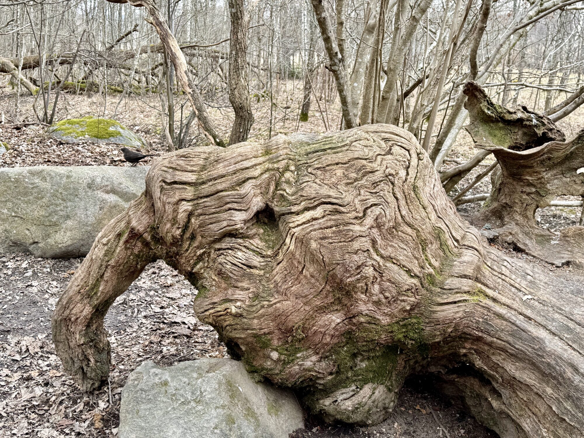 Valokuvaaja: Juhani Peltonen Valokuvaaja: Juhani Peltonen