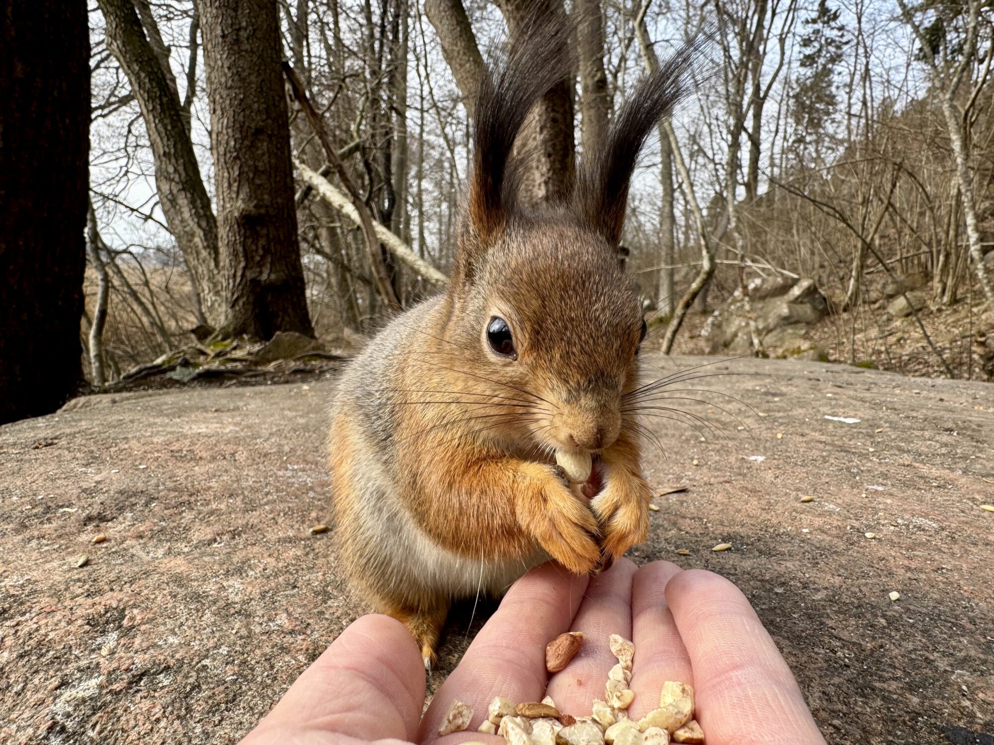 Valokuvaaja: Juhani Peltonen