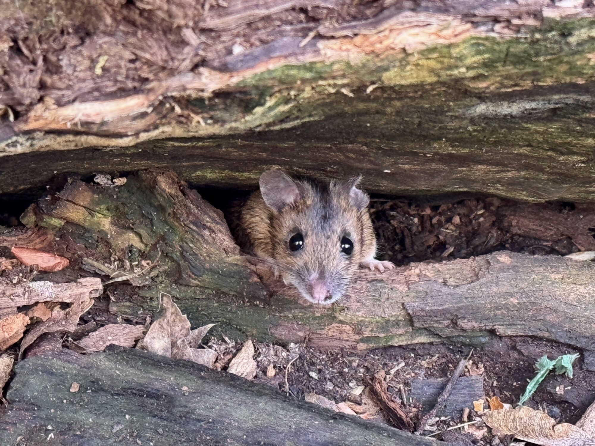 Valokuvaaja: Juhani Peltonen Valokuvaaja: Juhani Peltonen