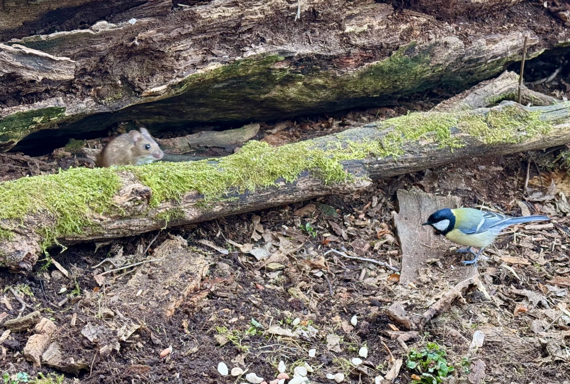 Valokuvaaja: Juhani Peltonen Valokuvaaja: Juhani Peltonen