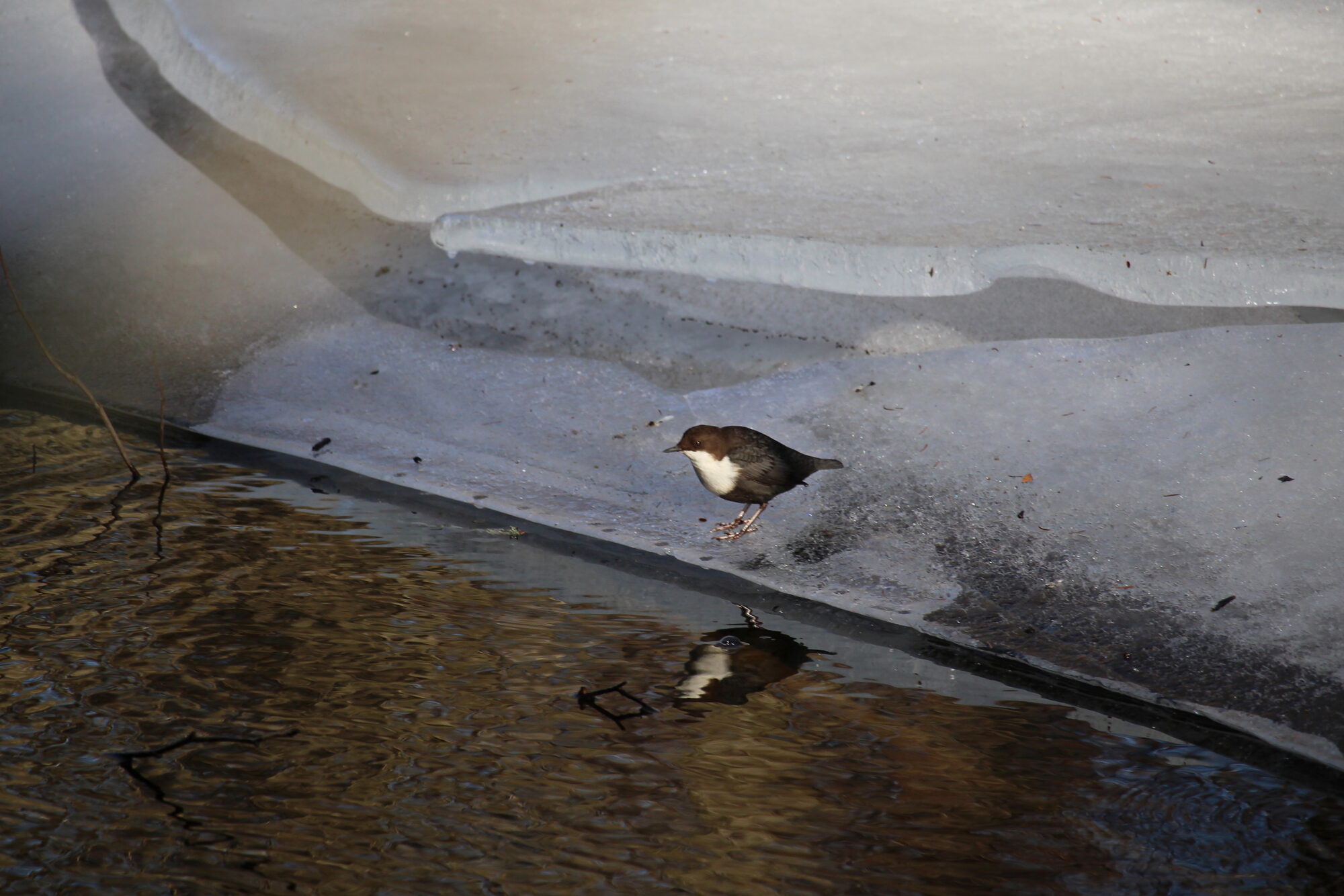 Valokuvaaja: Kirsi-Marja Joenpolvi