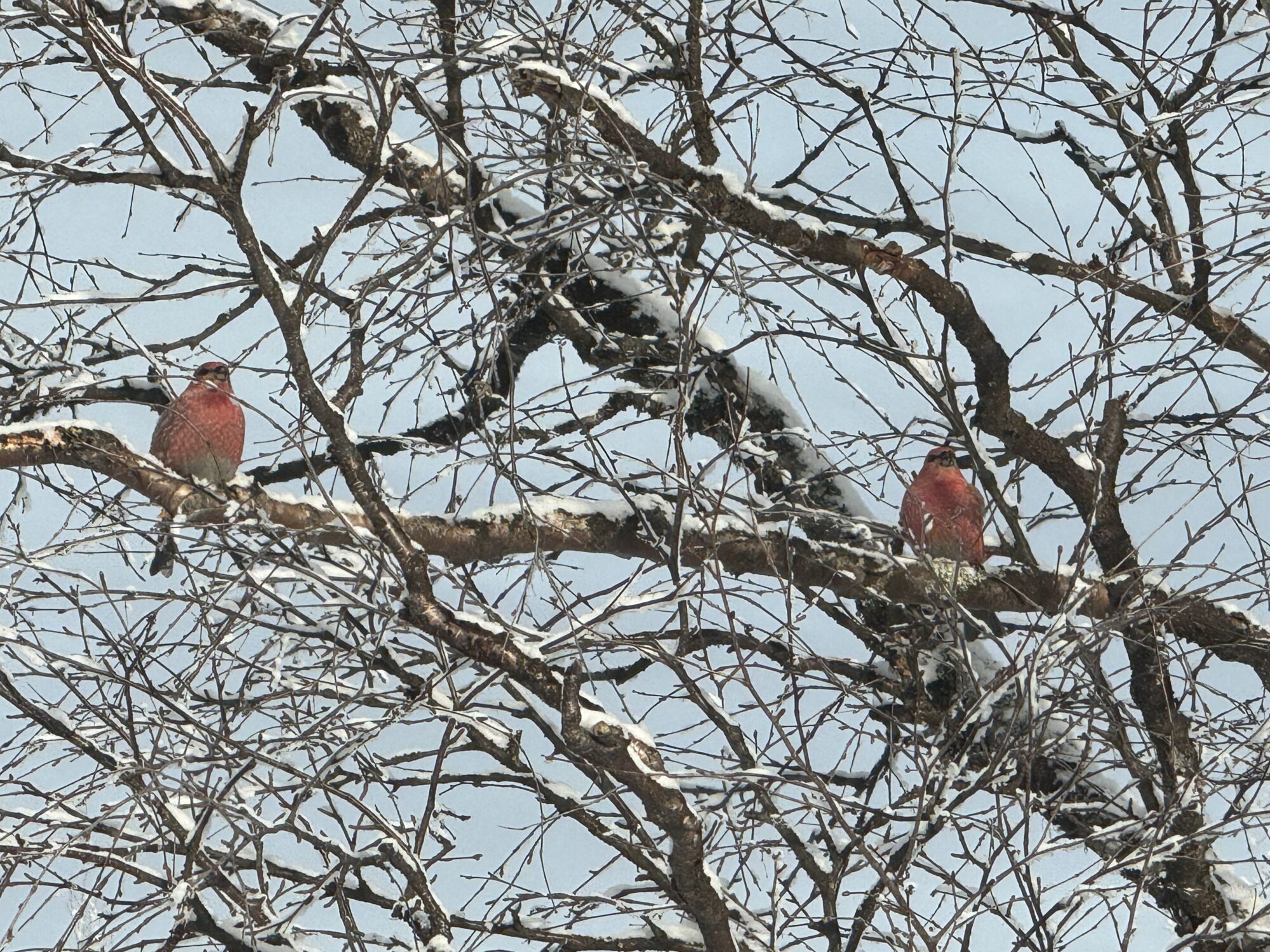 Valokuvaaja: Sannamari Blinnikka-Tyrväinen