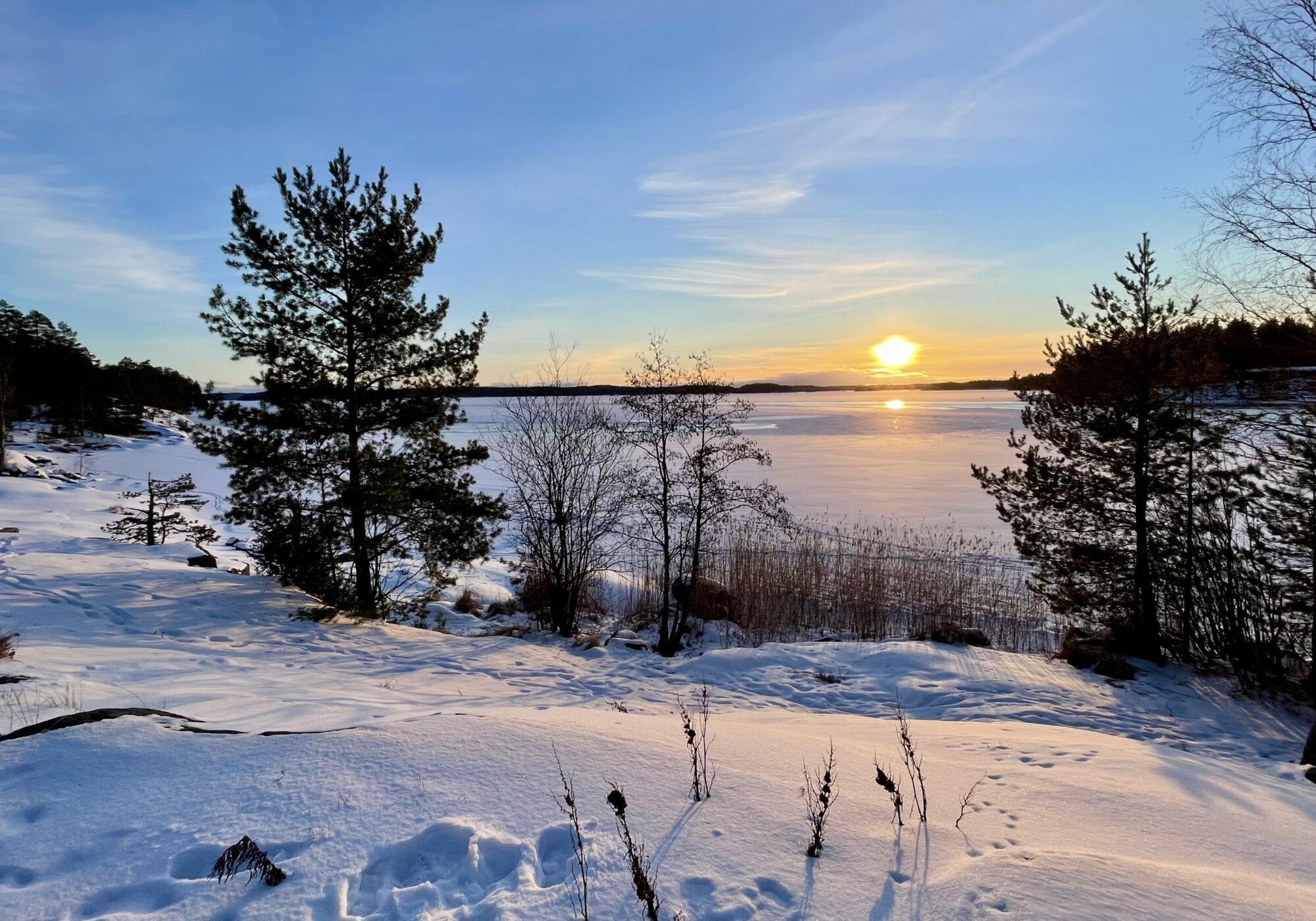 Valokuvaaja: Liisa Niiva-Korpela