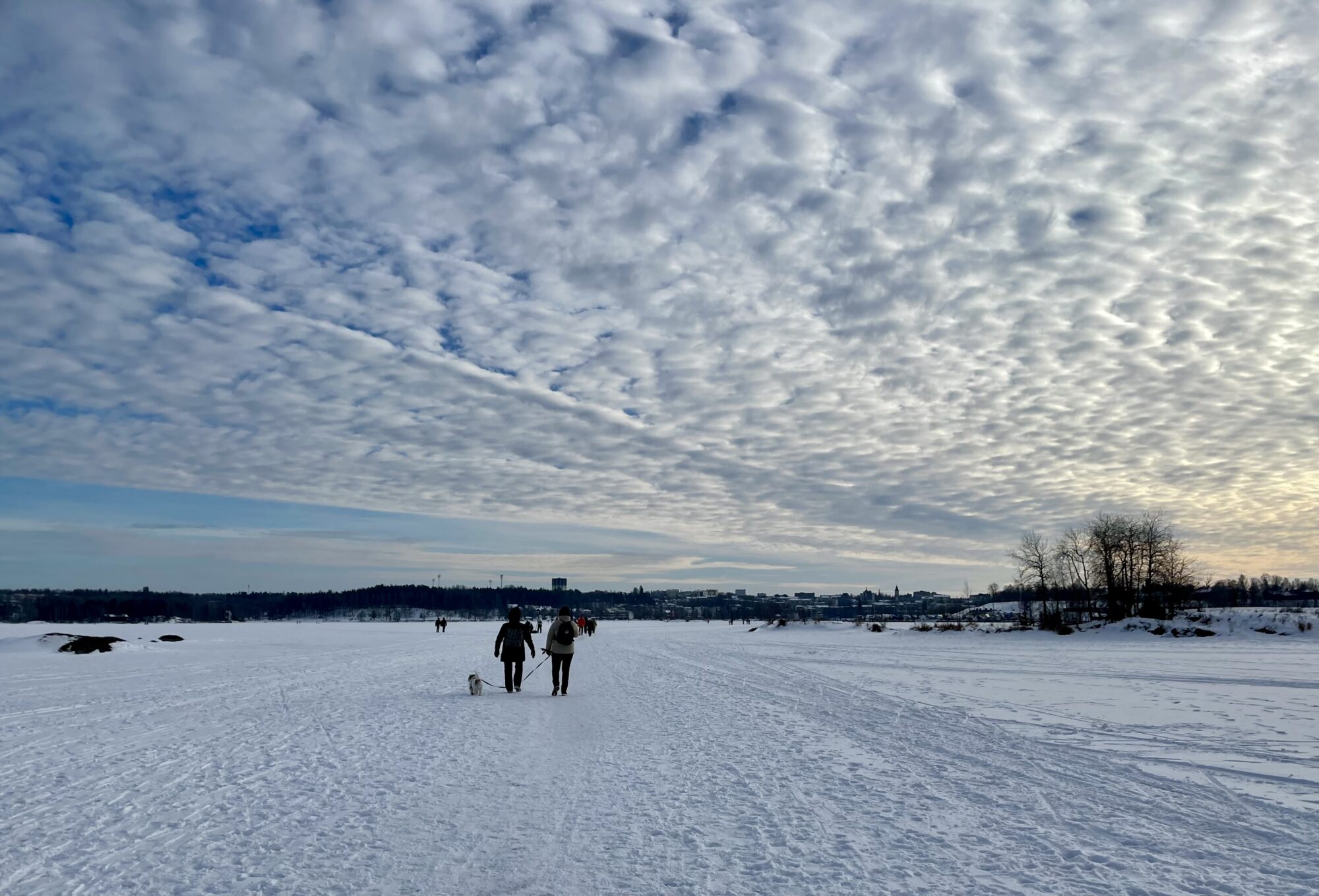 Valokuvaaja: Liisa Niiva-Korpela