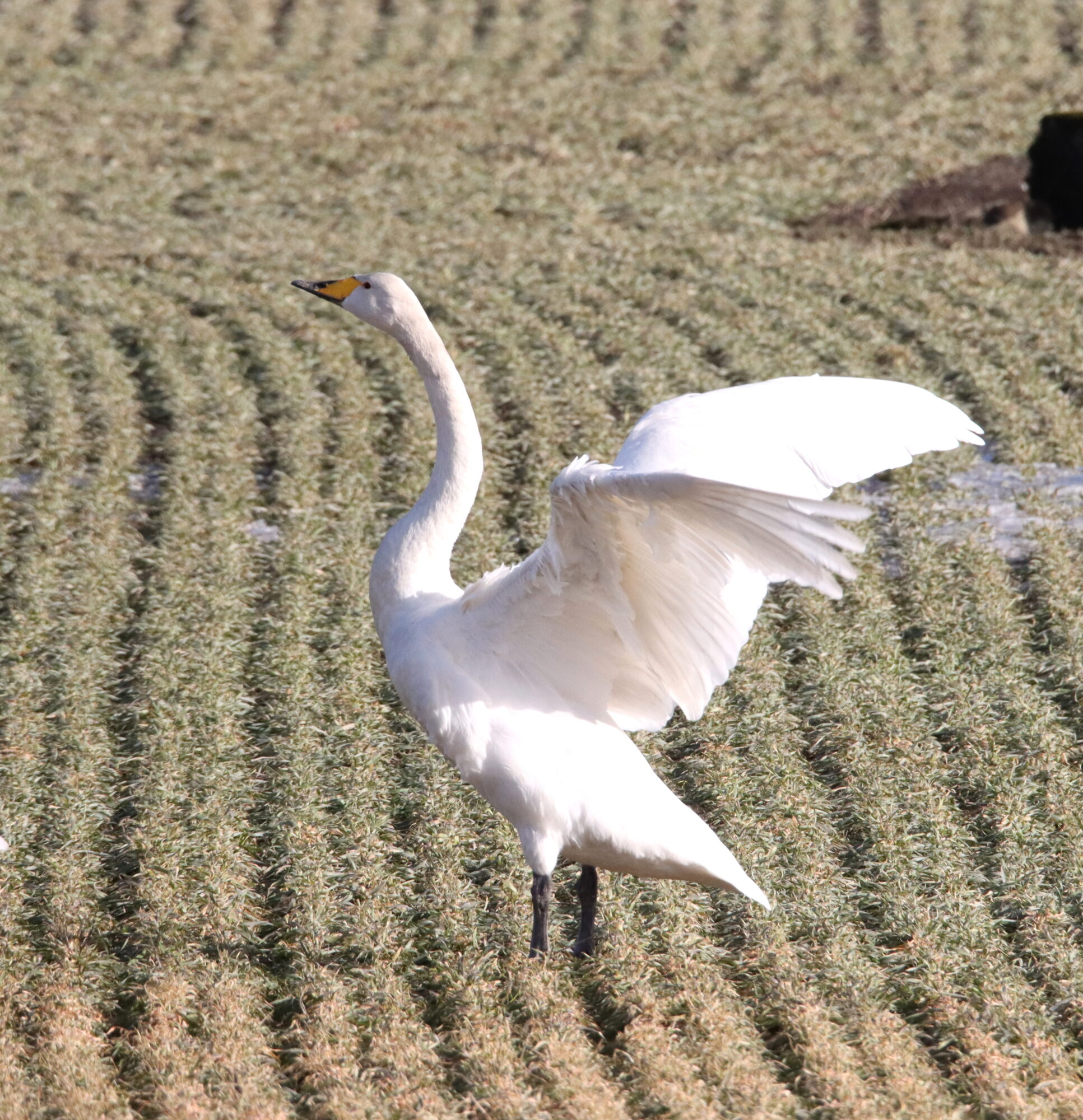 Valokuvaaja: Irja Lehtinen