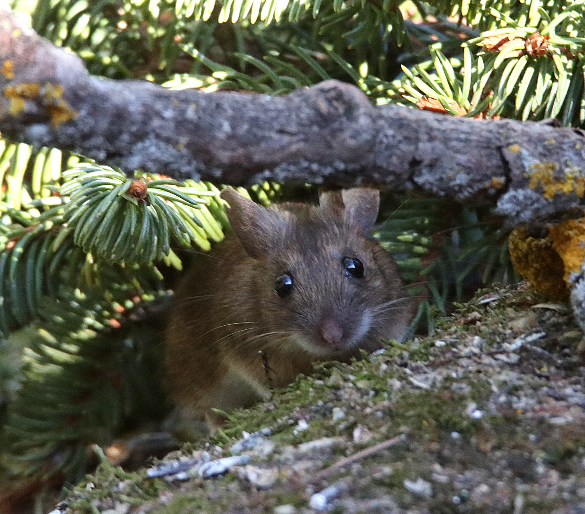 Valokuvaaja: Irja Lehtinen Valokuvaaja: Irja Lehtinen