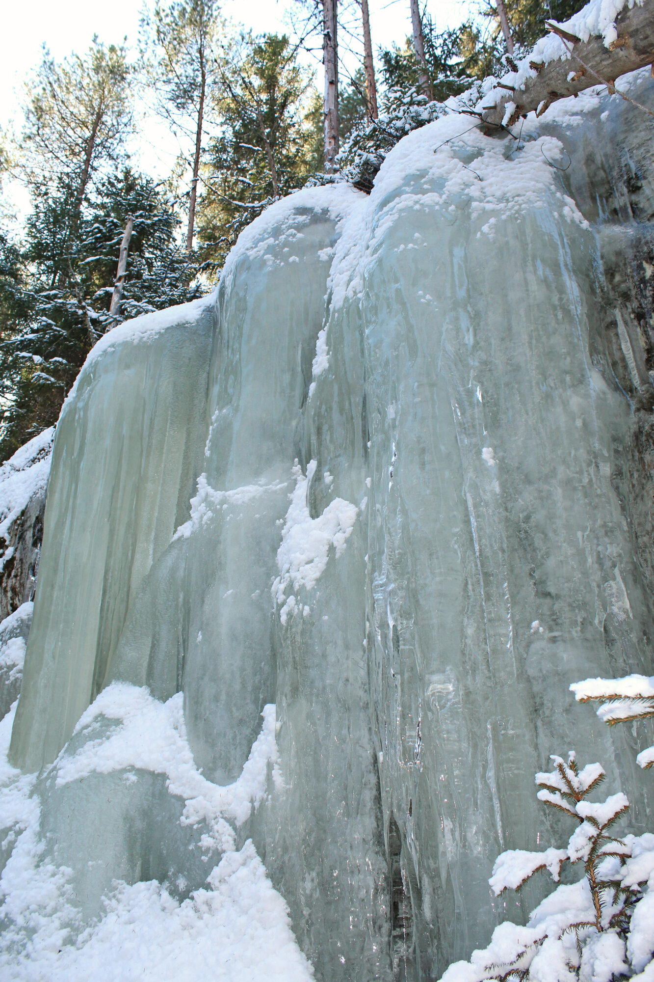 Valokuvaaja: Paula Savelius-Kontinen Valokuvaaja: Paula Savelius-Kontinen