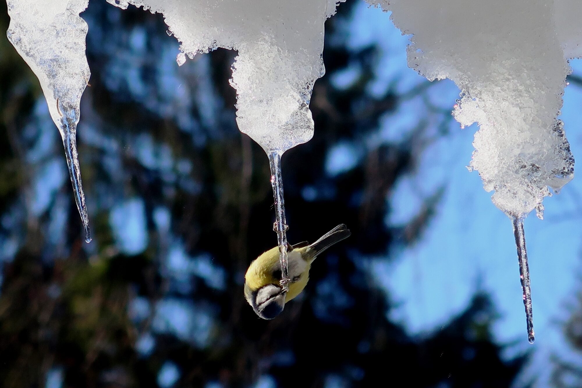 Valokuvaaja: Matti Eskelinen